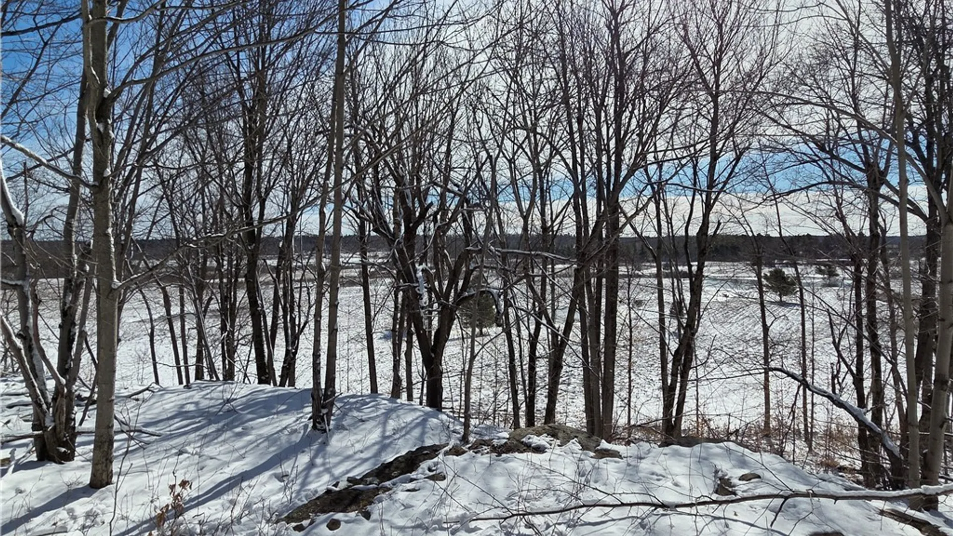 Property at Calaboga Road, Alexandria, NY 13679 2