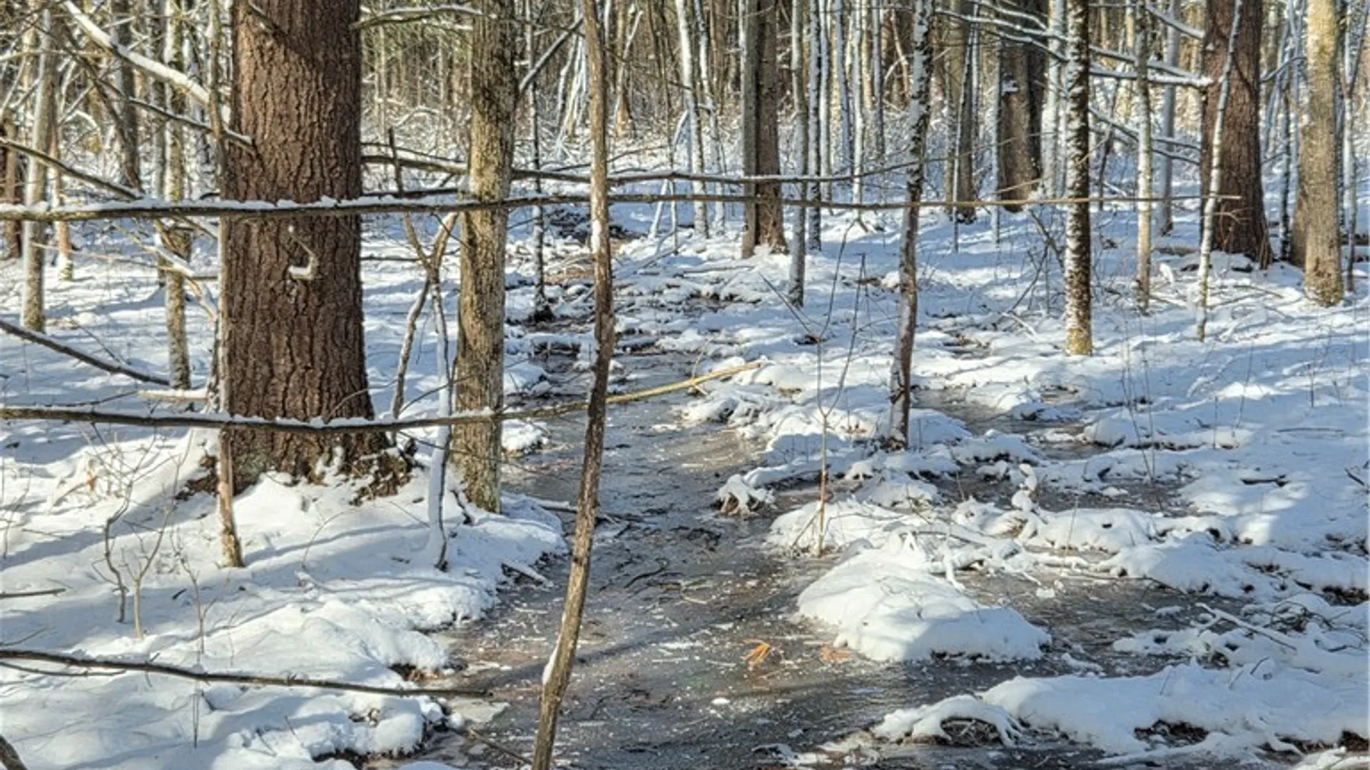 Property at Calaboga Road, Alexandria, NY 13679 4