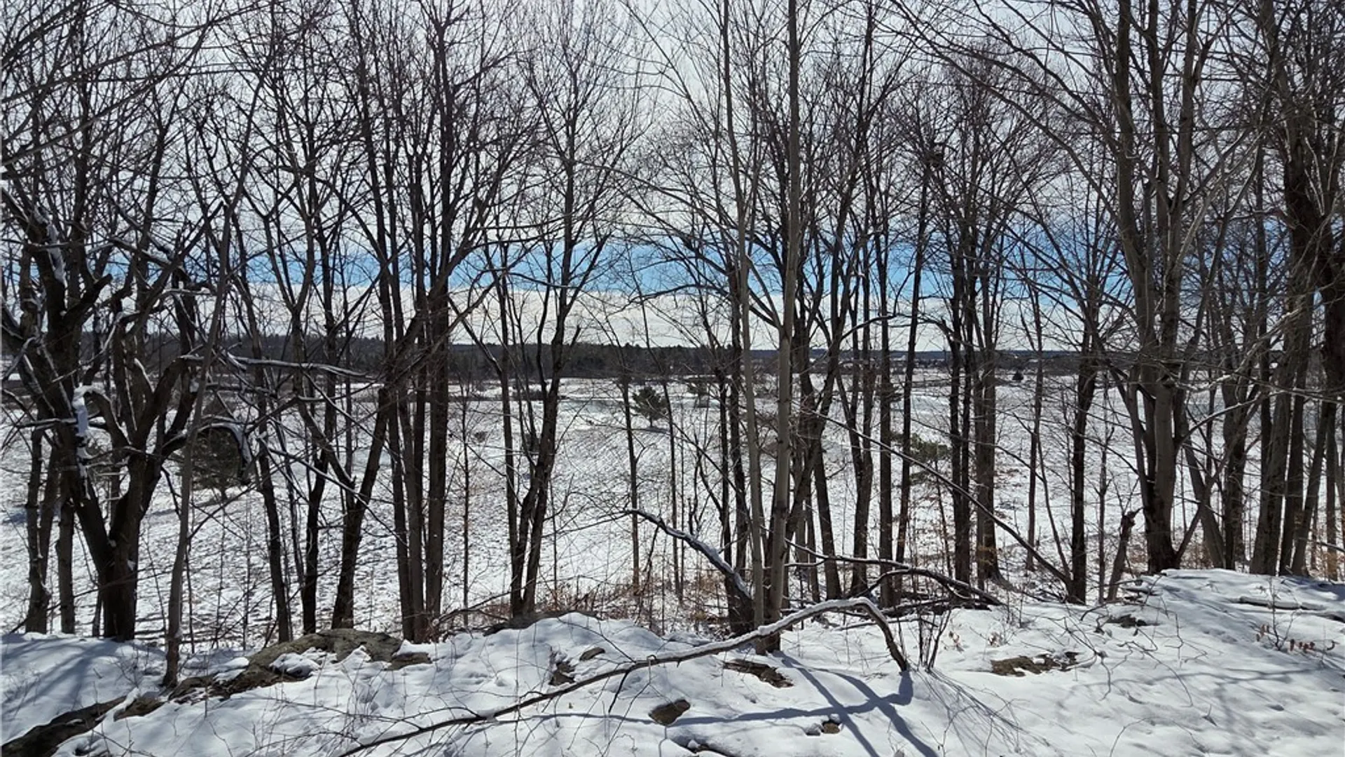 Property at Calaboga Road, Alexandria, NY 13679 5