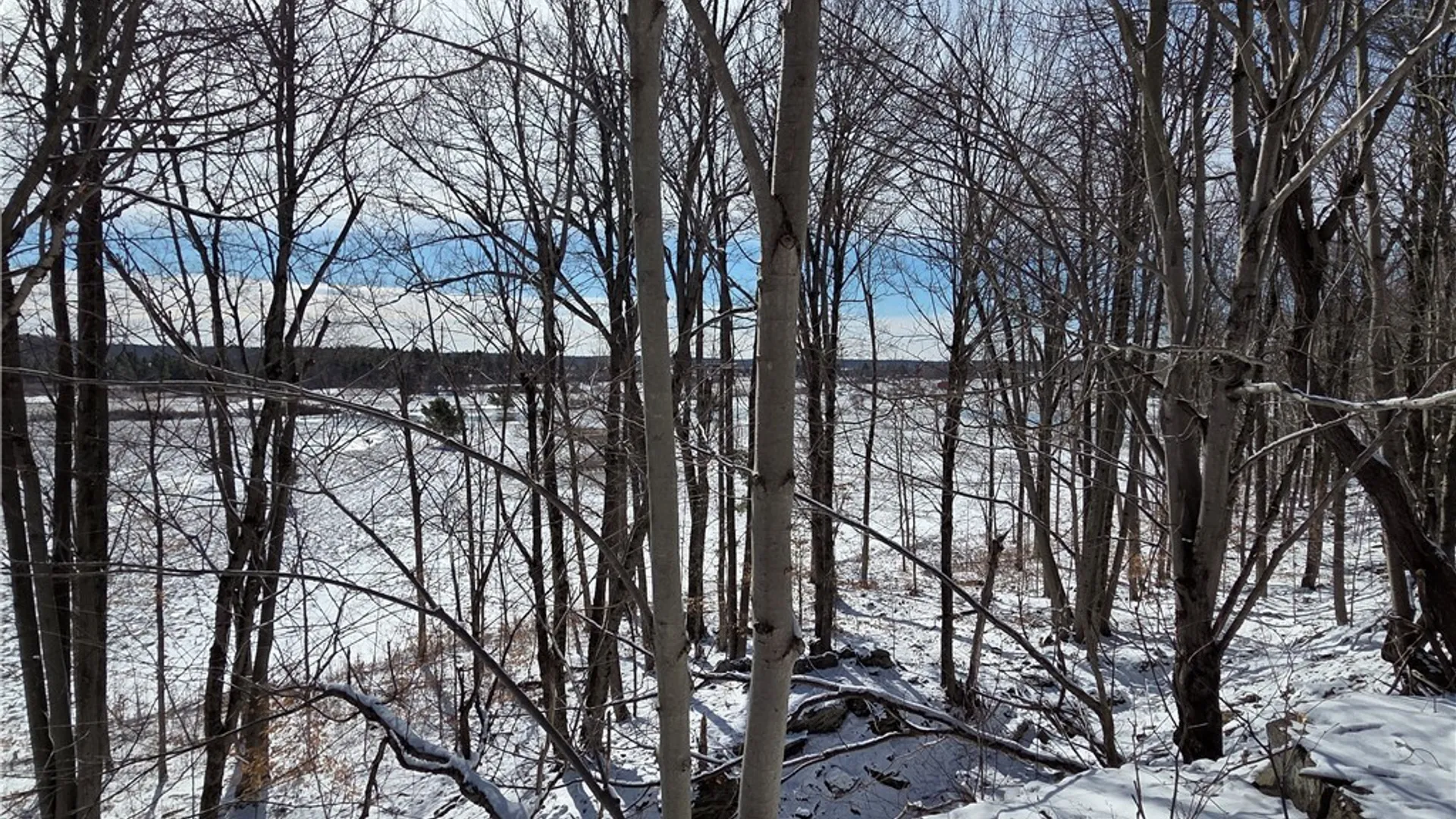 Property at Calaboga Road, Alexandria, NY 13679 6