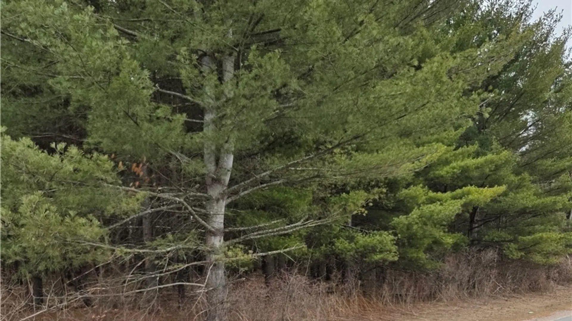 Property at Calaboga Road, Alexandria, NY 13679 8