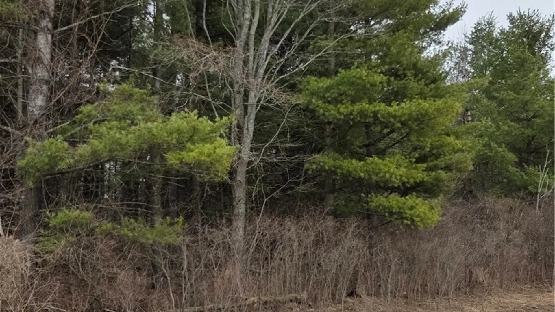 Property at Calaboga Road, Alexandria, NY 13679 9