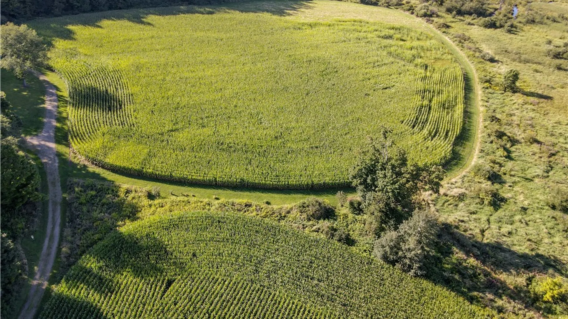 Property at VL Kidder Road, Mina, NY 14781 11