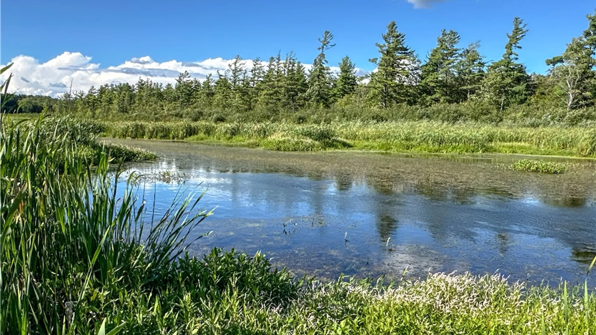 Property at VL Kidder Road, Mina, NY 14781 14