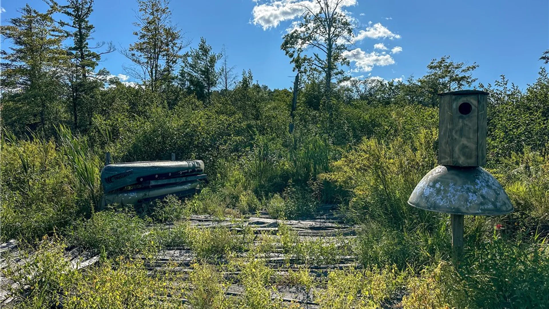 Property at VL Kidder Road, Mina, NY 14781 15