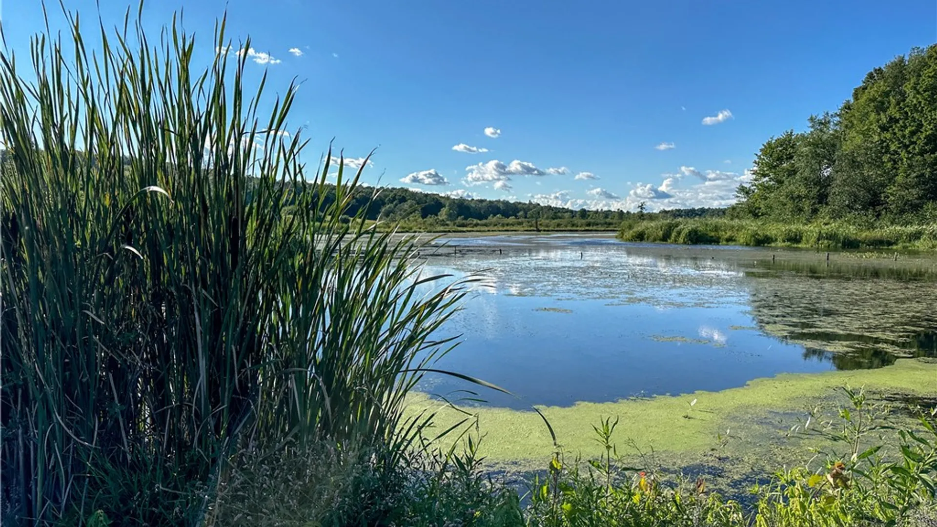 Property at VL Kidder Road, Mina, NY 14781 2