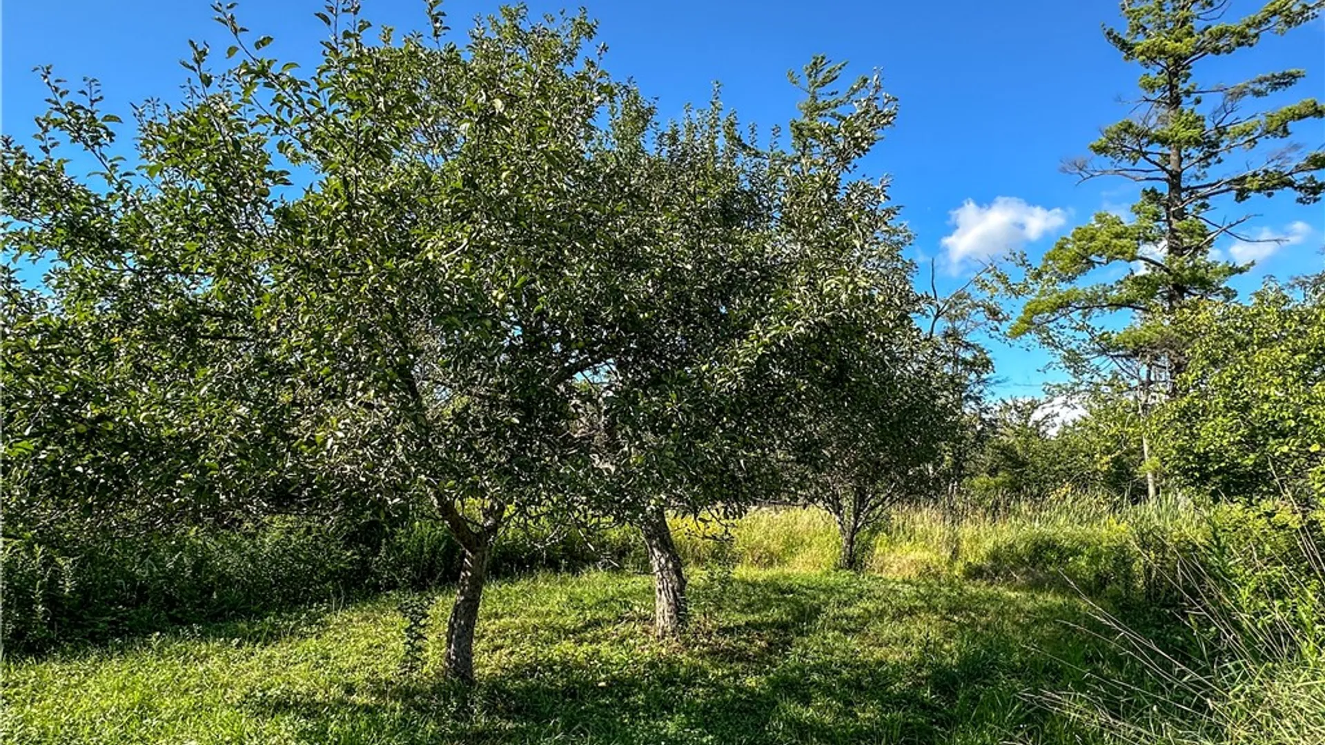 Property at VL Kidder Road, Mina, NY 14781 42