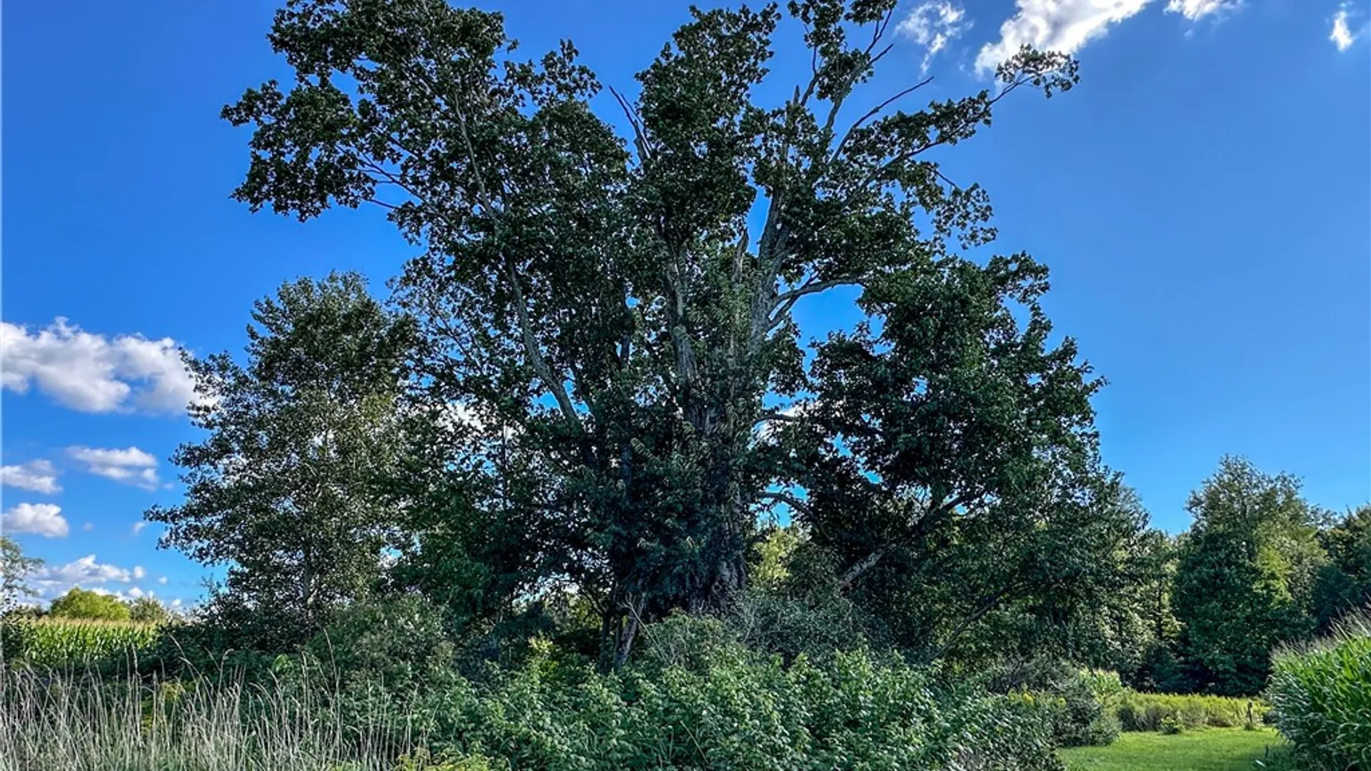 Property at VL Kidder Road, Mina, NY 14781 43