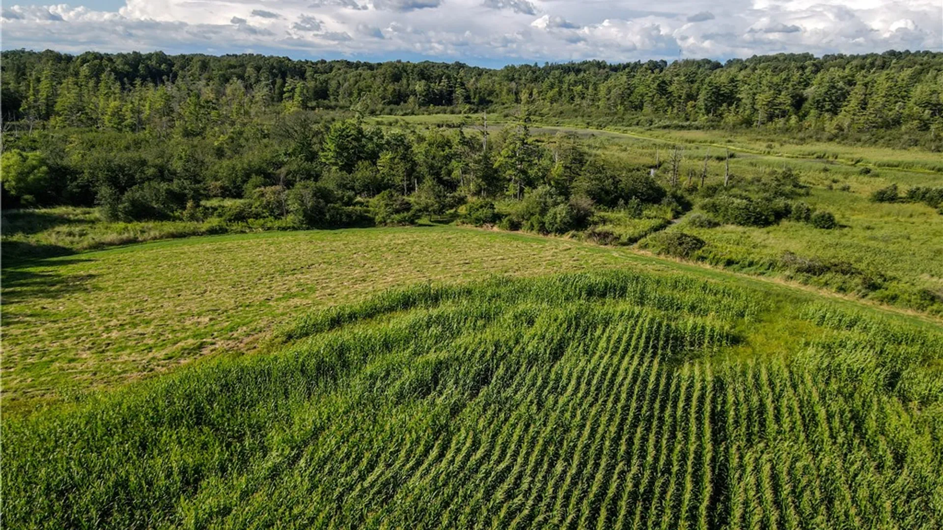 Property at VL Kidder Road, Mina, NY 14781 46