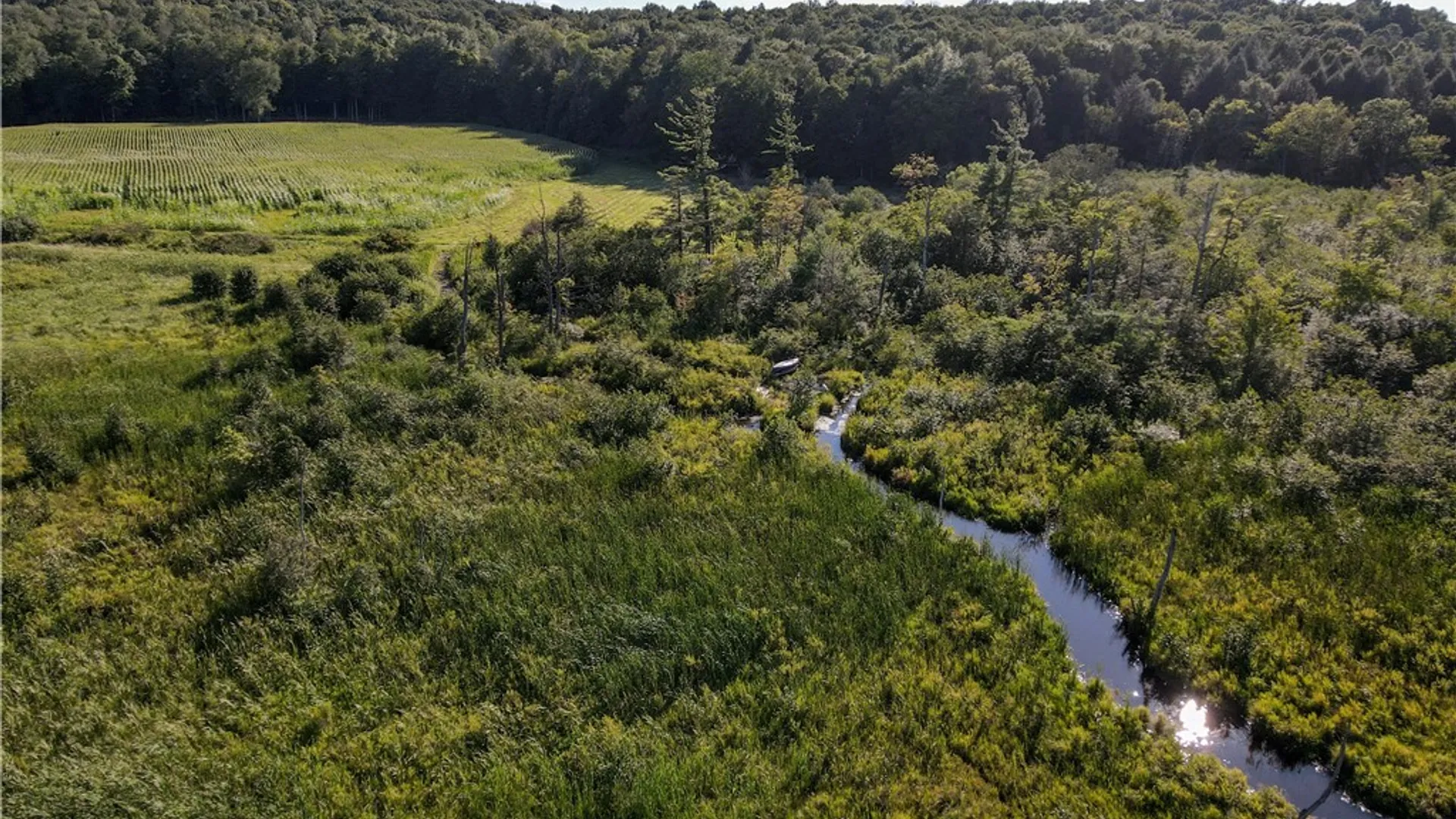 Property at VL Kidder Road, Mina, NY 14781 47