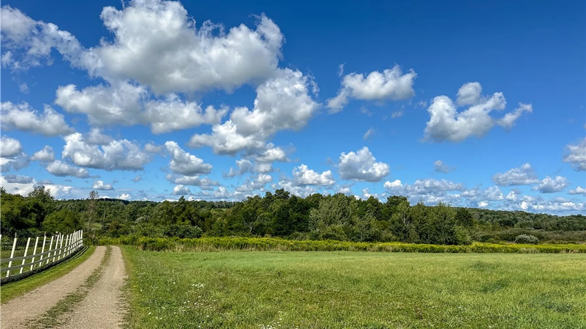 Property at VL Kidder Road, Mina, NY 14781 6