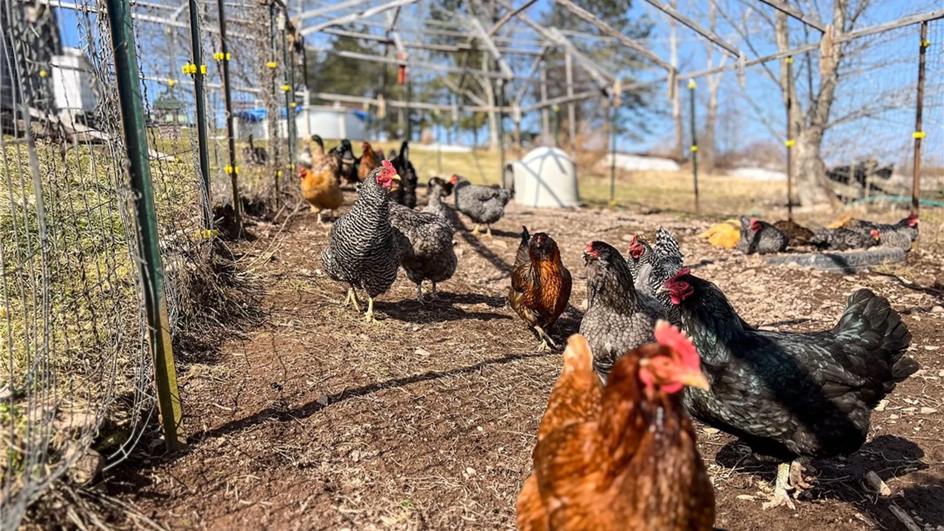 Property at 802 County Highway 3A, Unadilla, NY 13849 47