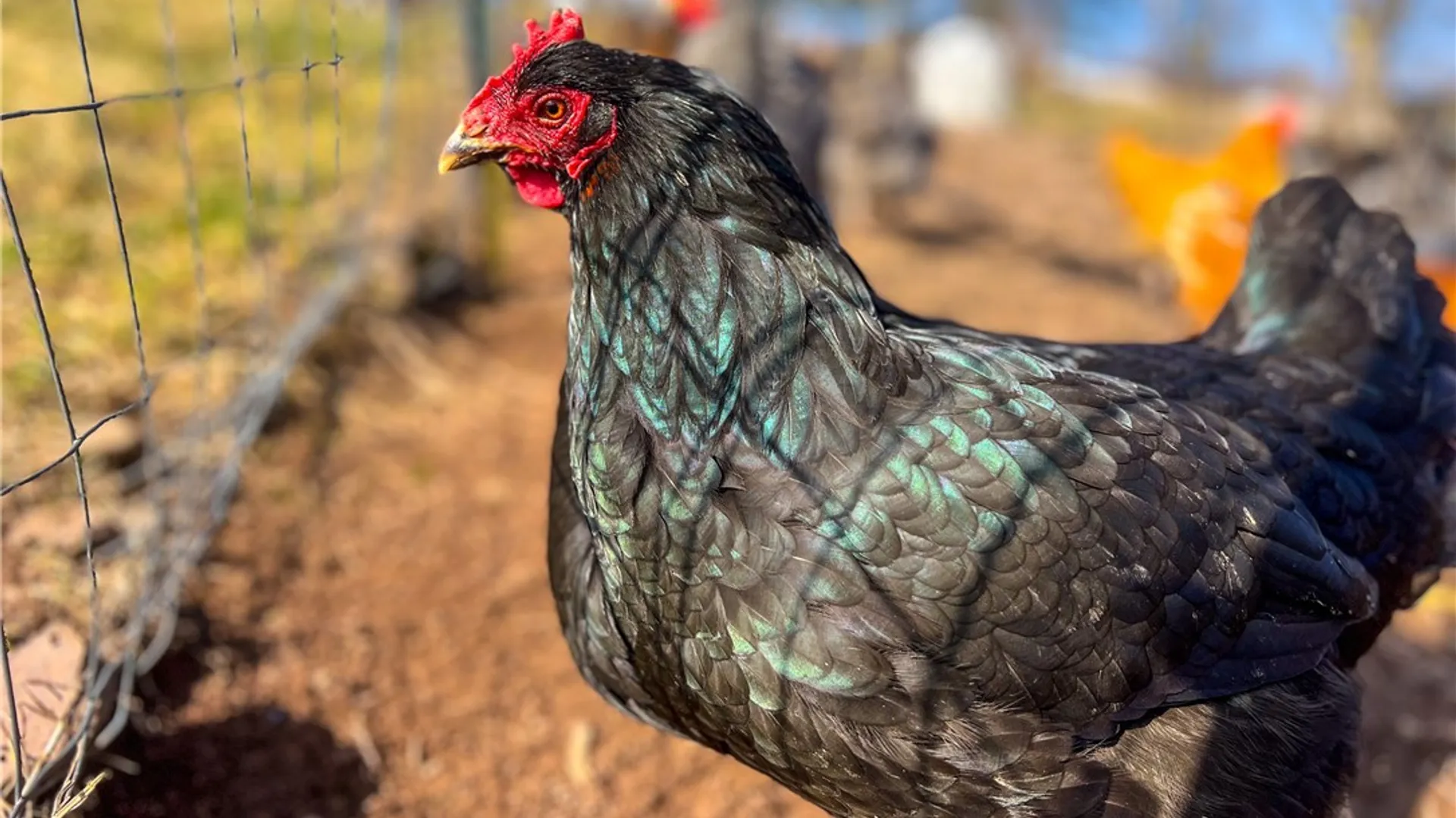 Property at 802 County Highway 3A, Unadilla, NY 13849 48