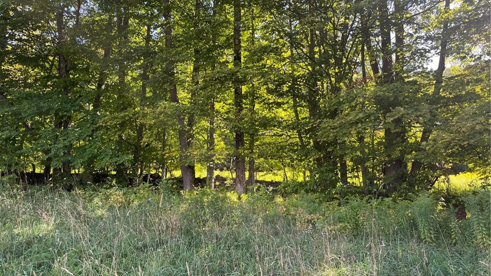 Property at 19.221 Turnpike Road, Meredith, NY 13757 10