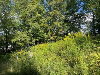 19.221 Turnpike Road, Meredith, NY 13757