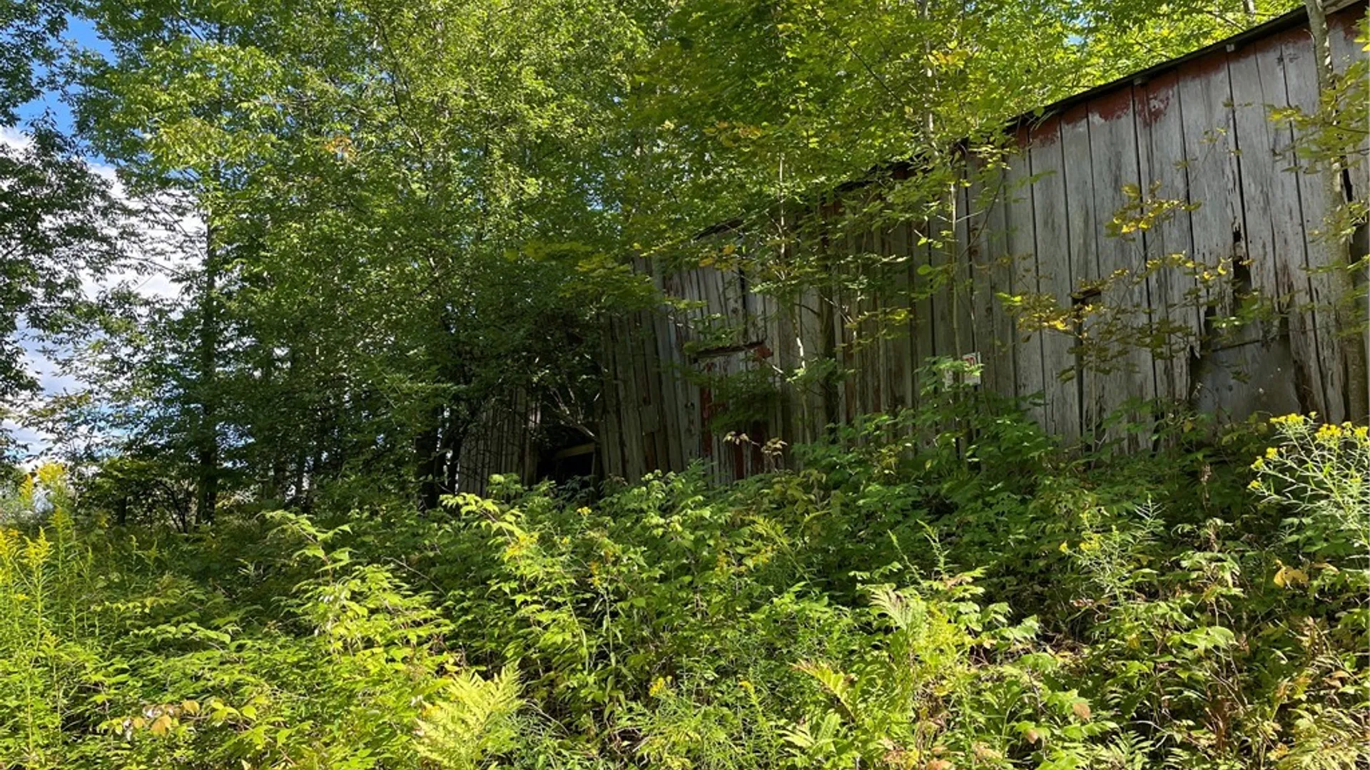 Property at 19.221 Turnpike Road, Meredith, NY 13757 2