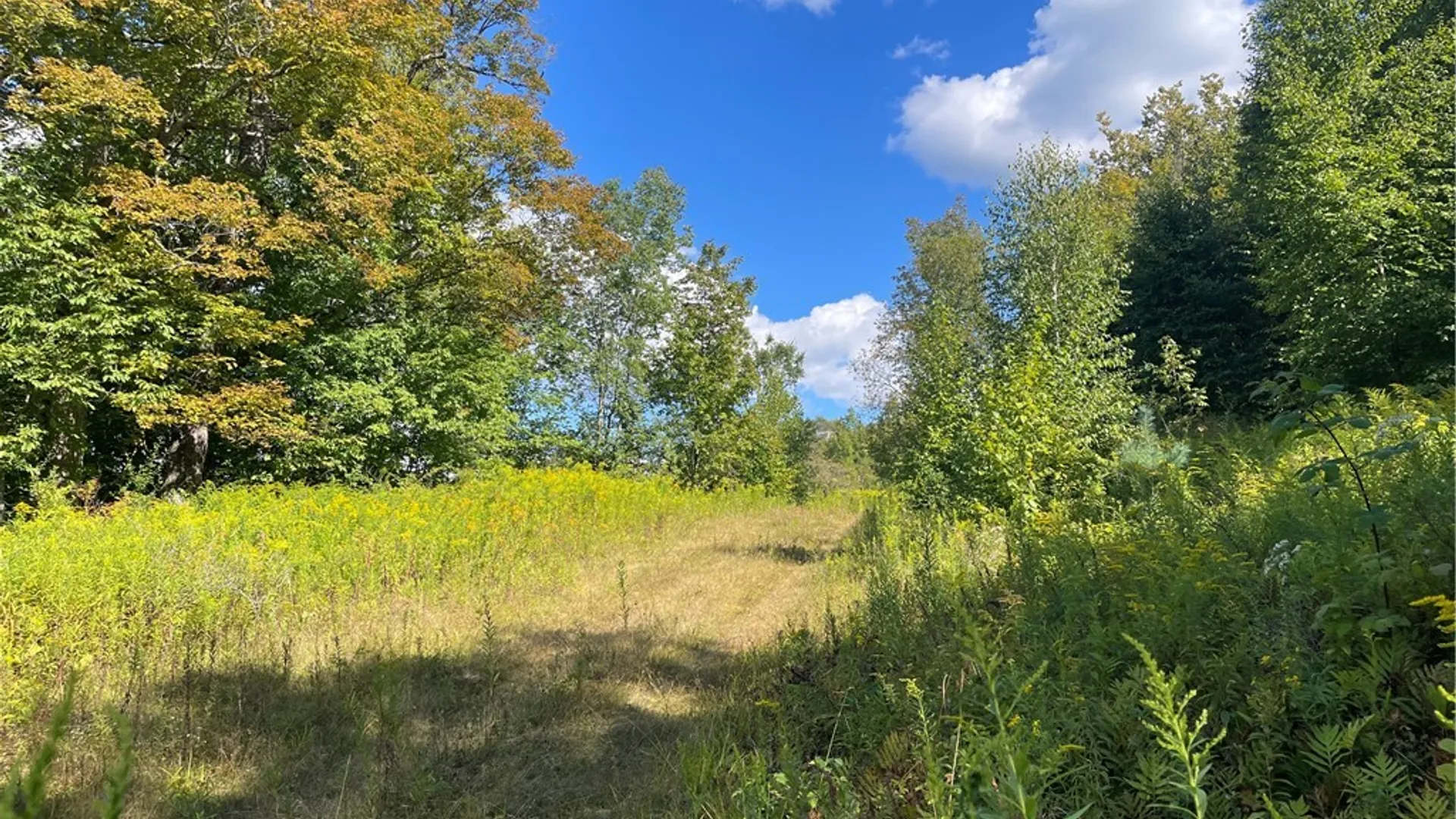 Property at 19.221 Turnpike Road, Meredith, NY 13757 3