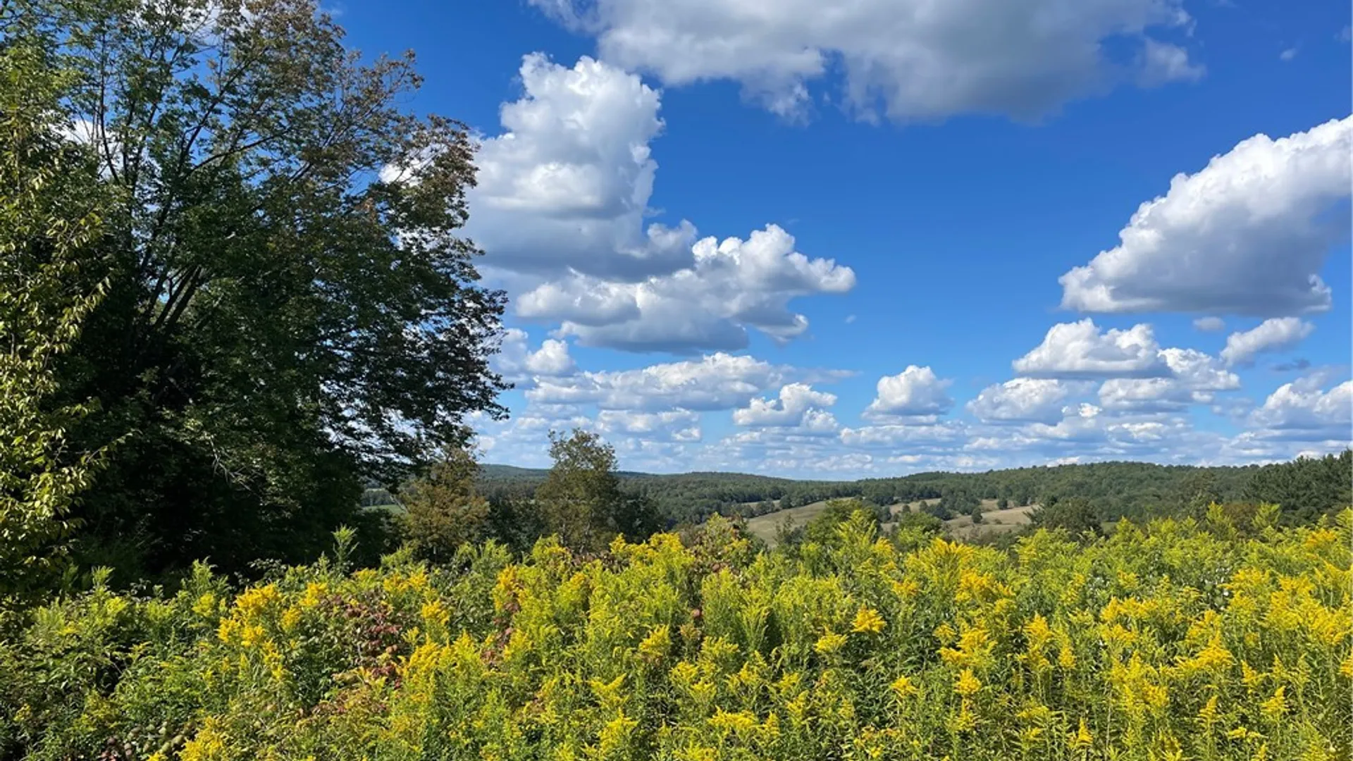 Property at 19.221 Turnpike Road, Meredith, NY 13757 4