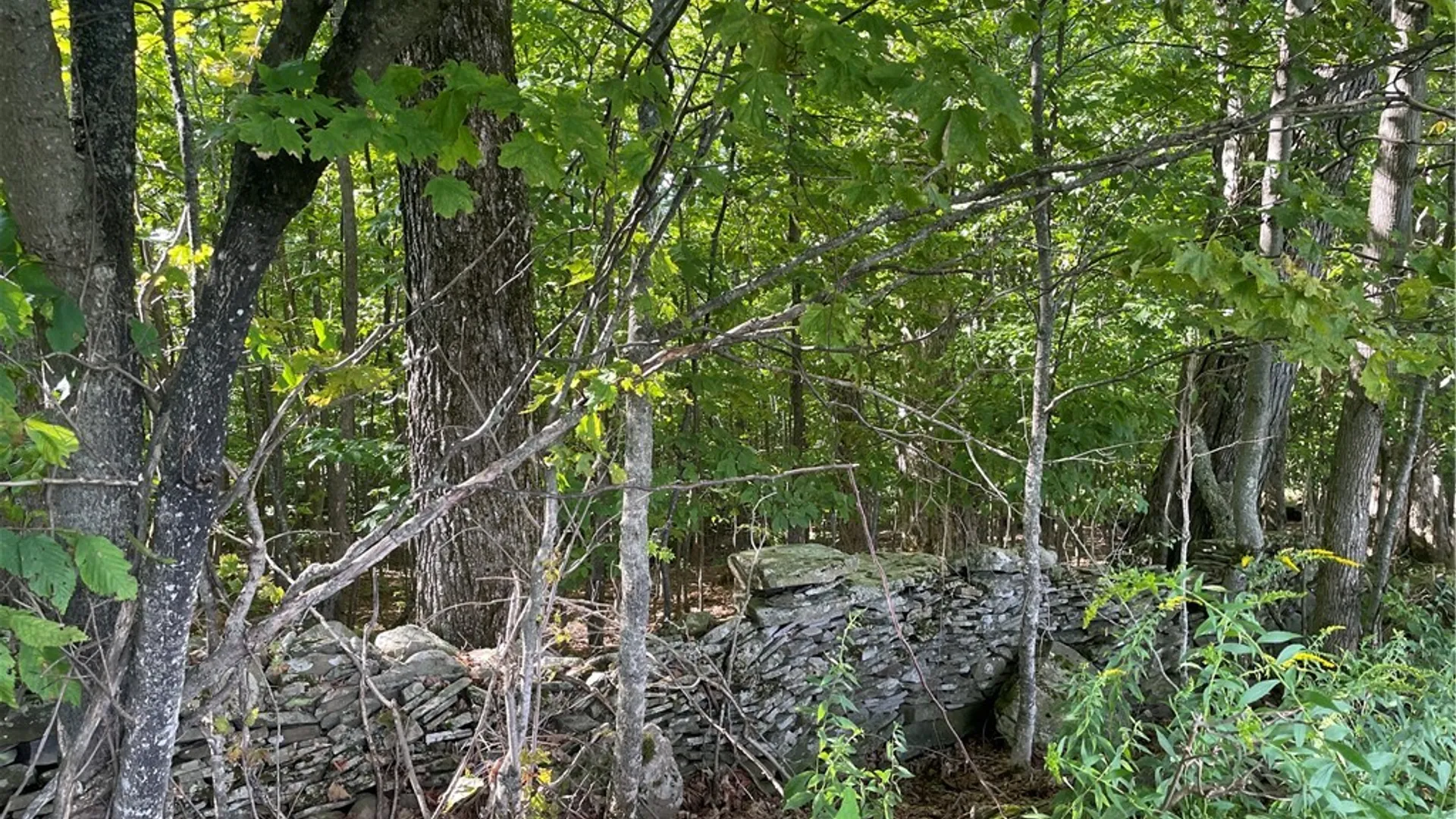 Property at 19.221 Turnpike Road, Meredith, NY 13757 6