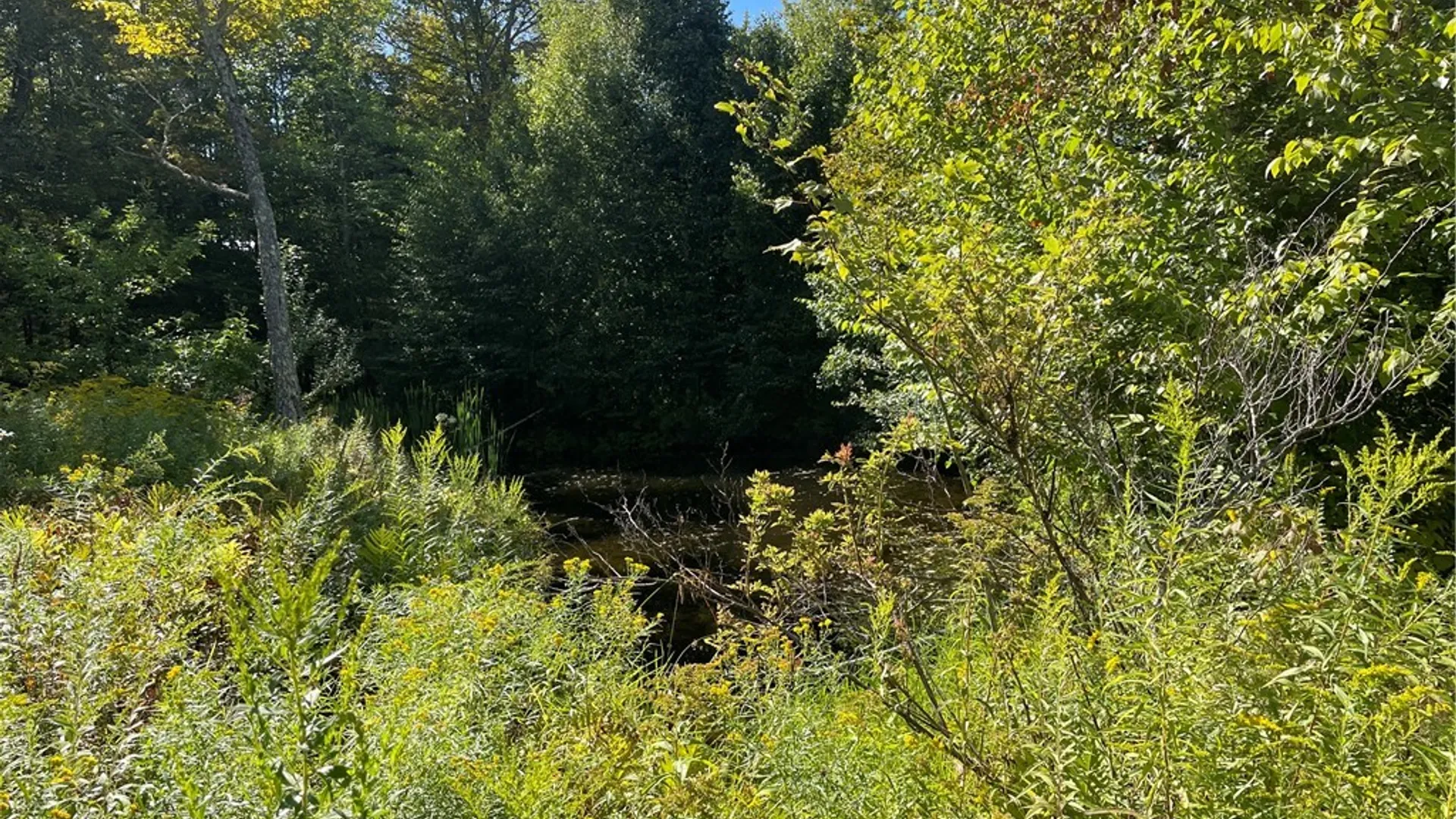 Property at 19.221 Turnpike Road, Meredith, NY 13757 9