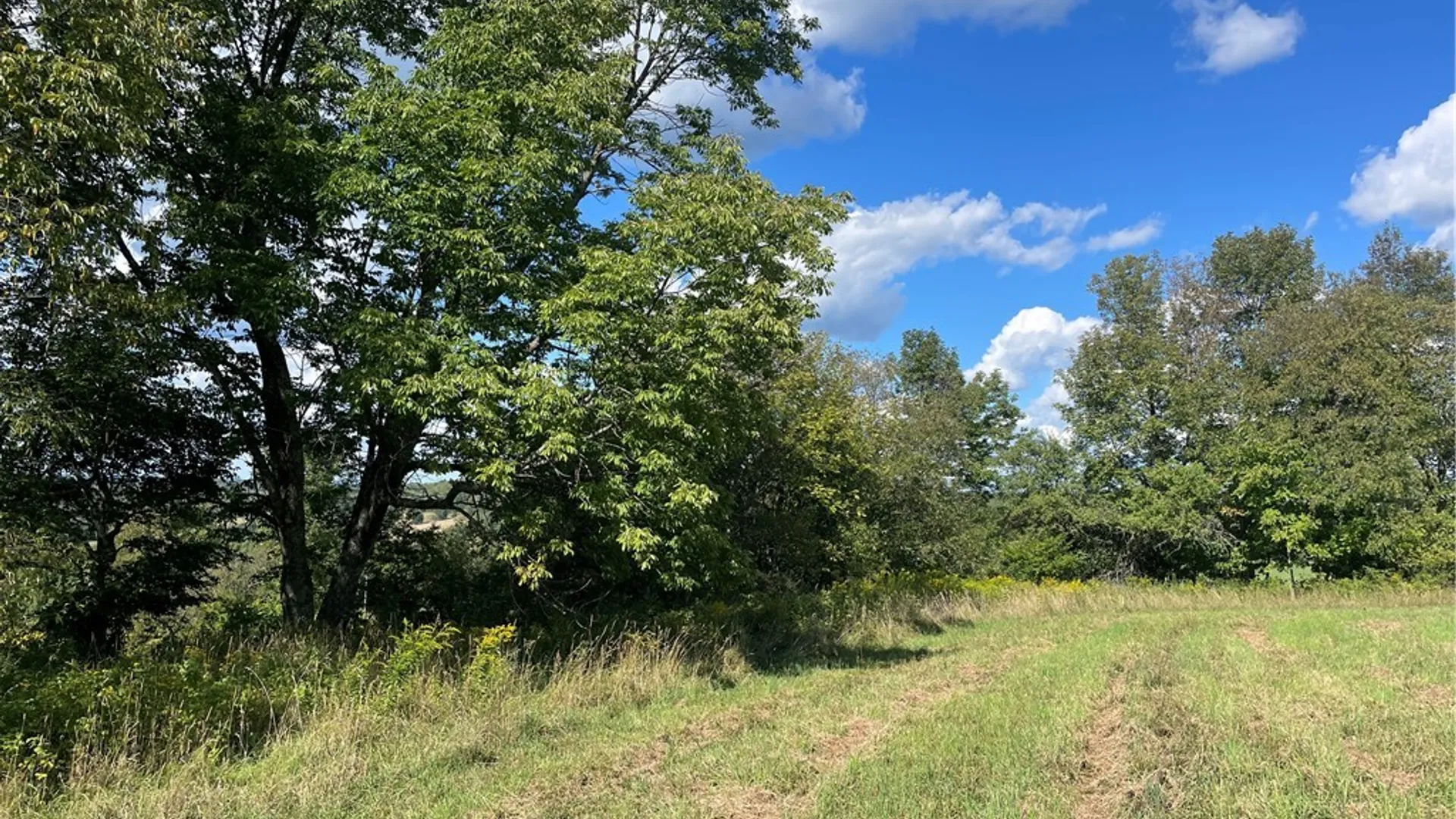 Property at 18.1 Turnpike Road, Meredith, NY 13757 2