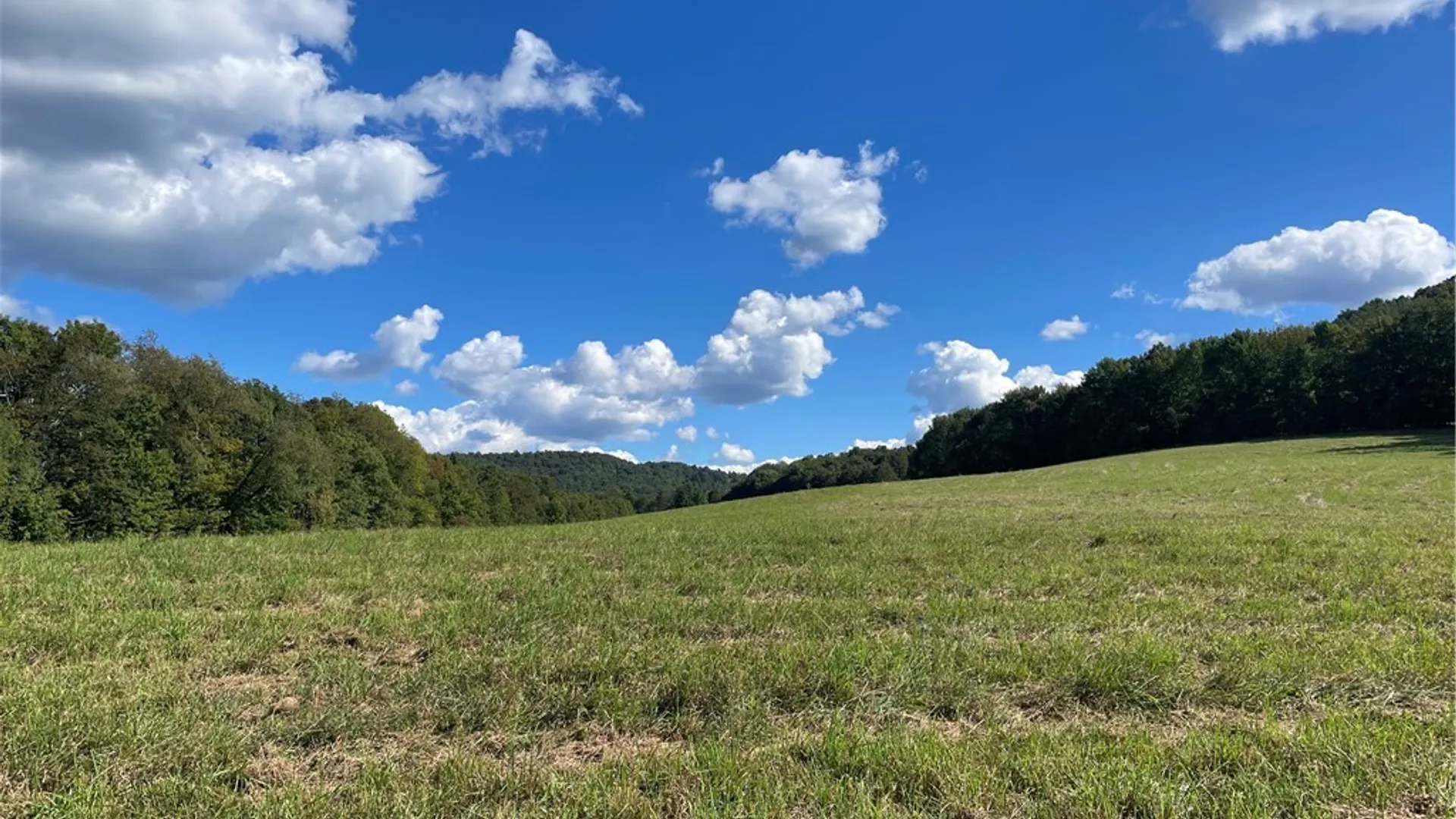 Property at 18.1 Turnpike Road, Meredith, NY 13757 3