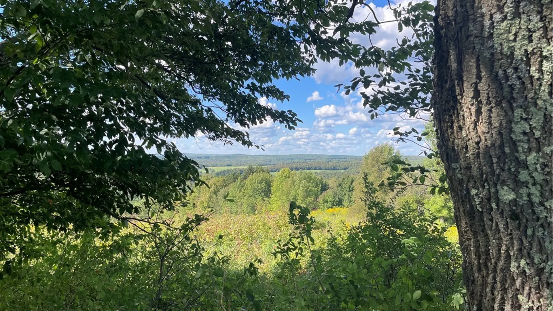 Property at 18.1 Turnpike Road, Meredith, NY 13757 4