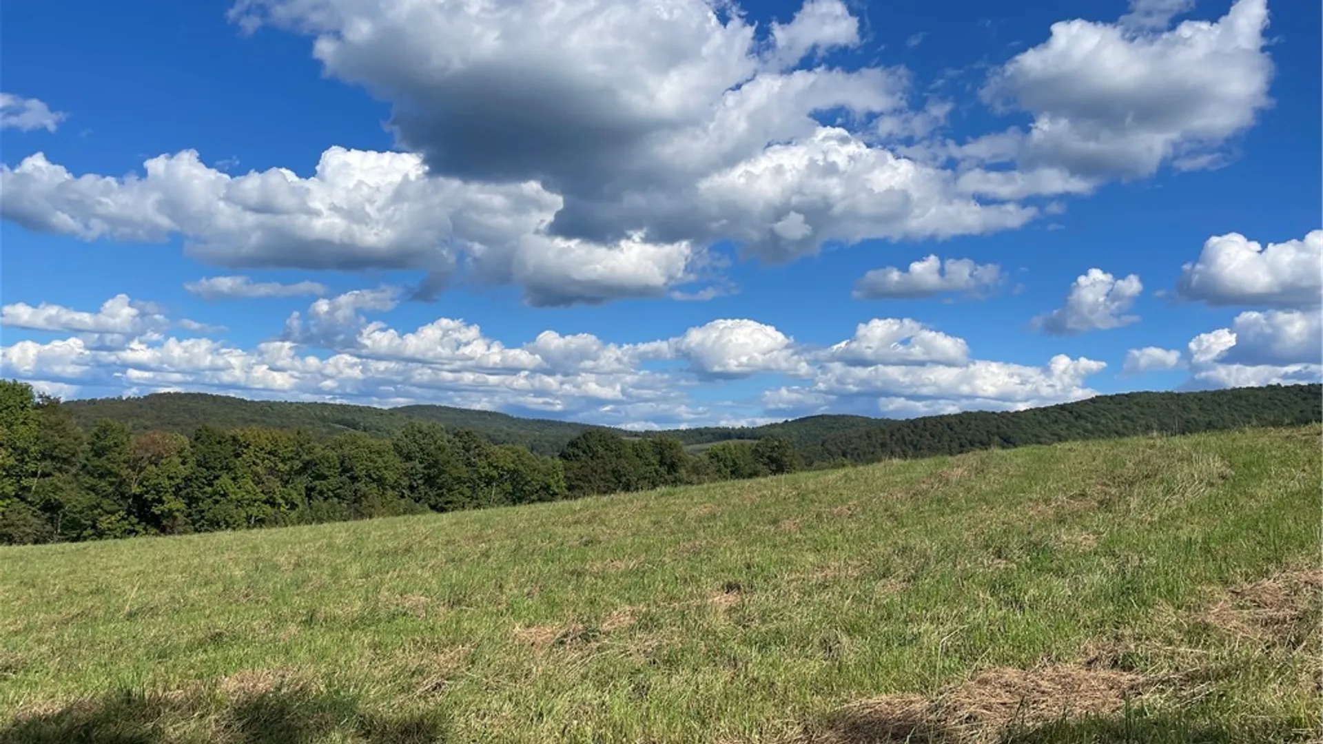 Property at 18.1 Turnpike Road, Meredith, NY 13757 5