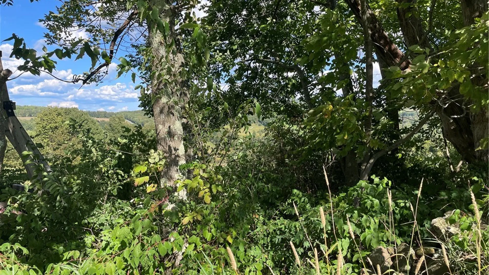 Property at 18.1 Turnpike Road, Meredith, NY 13757 6