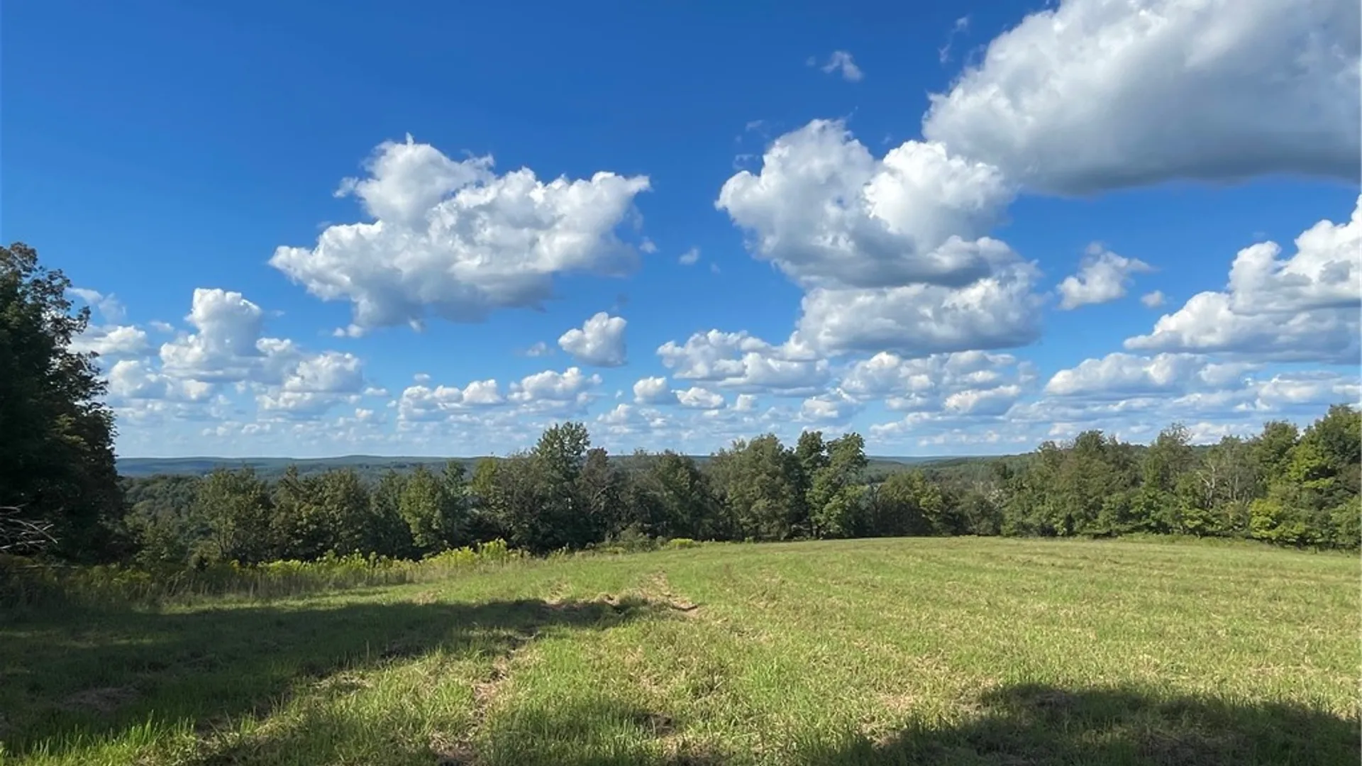 Property at 18.1 Turnpike Road, Meredith, NY 13757 7