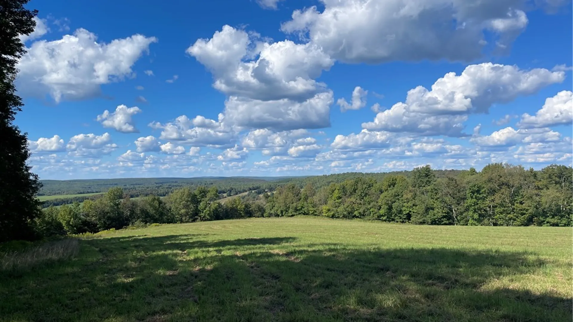 Property at 18.1 Turnpike Road, Meredith, NY 13757 8