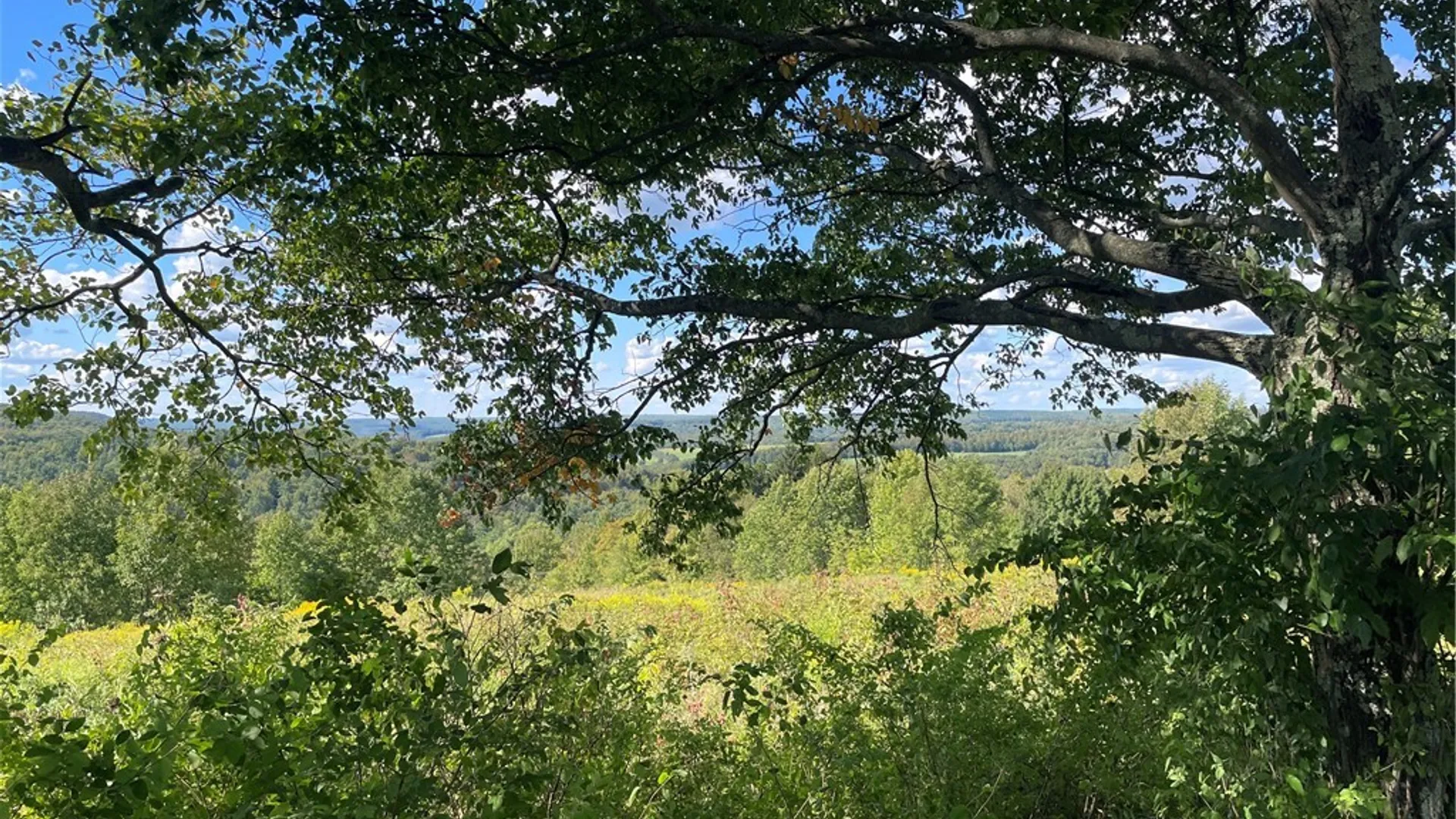 Property at 18.1 Turnpike Road, Meredith, NY 13757 9