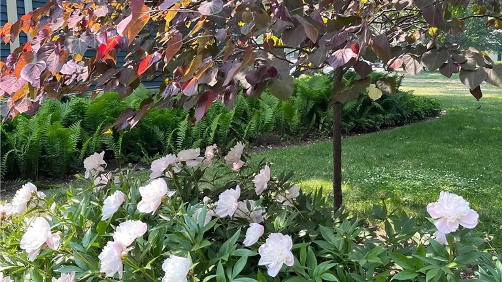 Property at 127 Maple Avenue, Victor, NY 14564 43