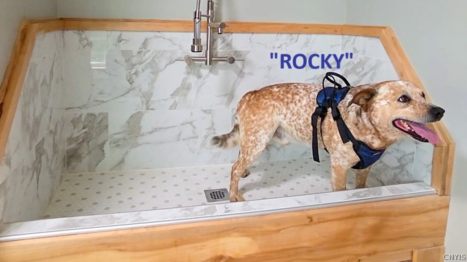 Property at 8914 Jackson Street, Brutus, NY 13166 24