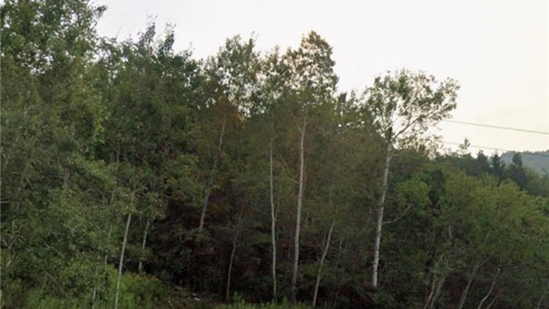 Property at East, Avoca, NY 14809 2