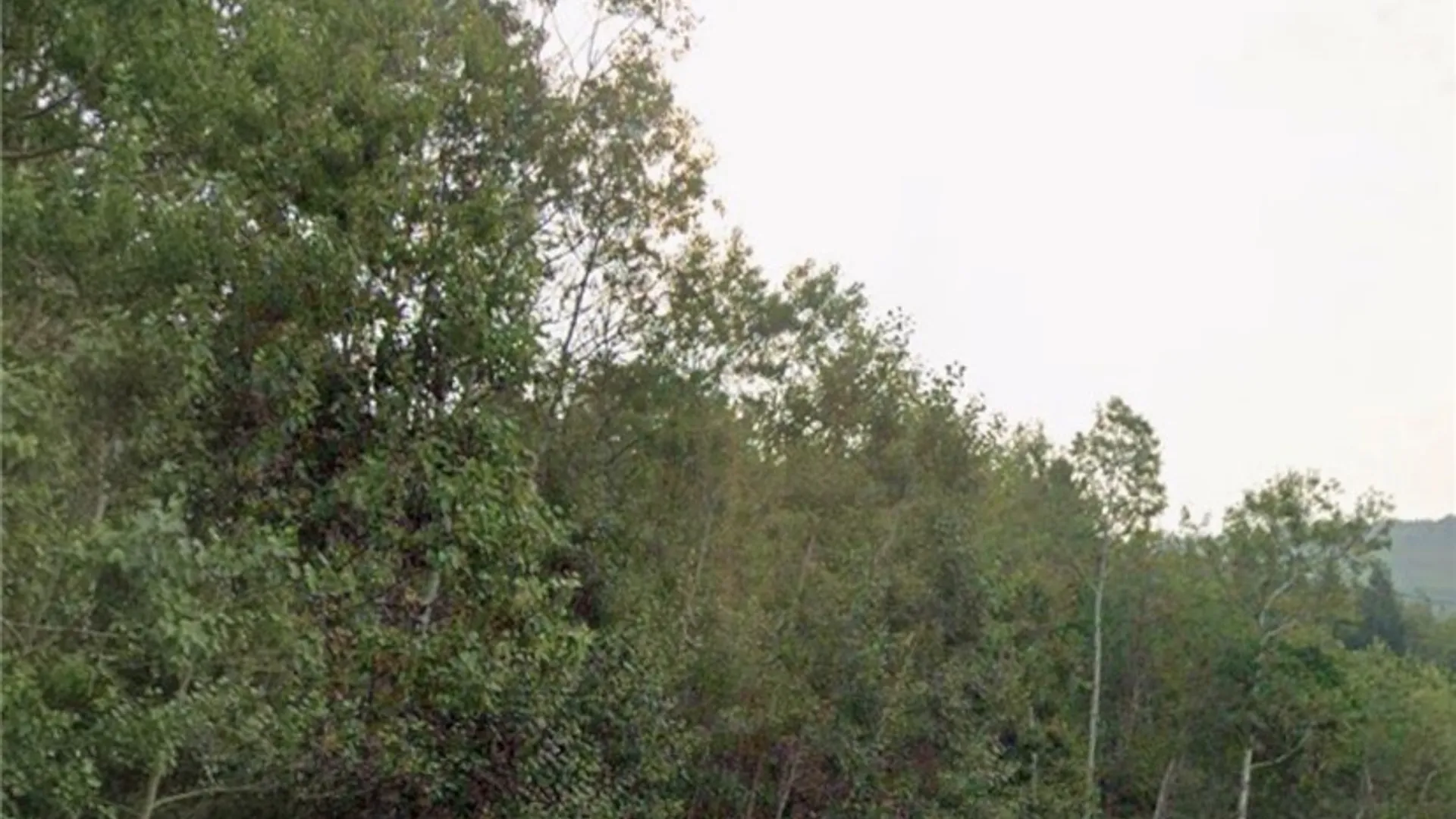 Property at East, Avoca, NY 14809 3