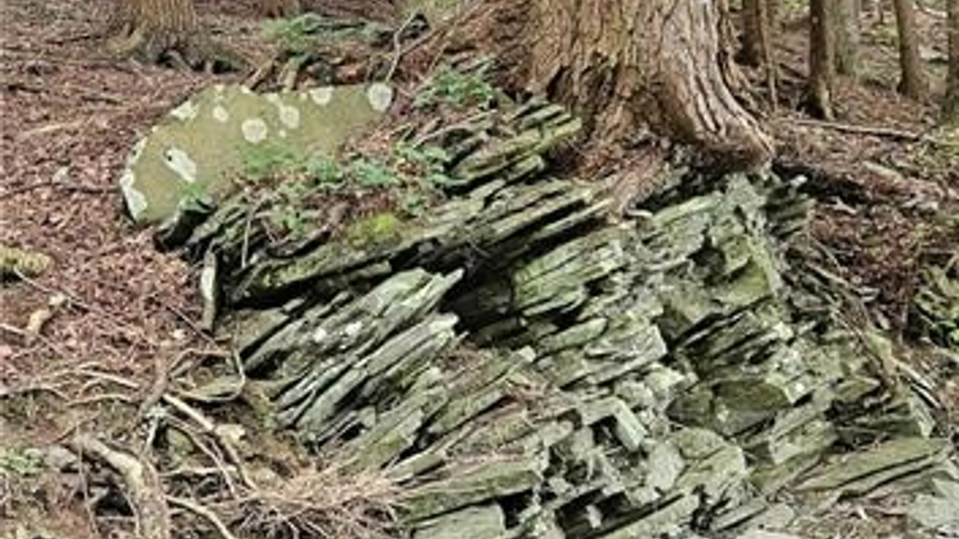 Property at 0 Lafayette Road, Groton, NY 13073 11