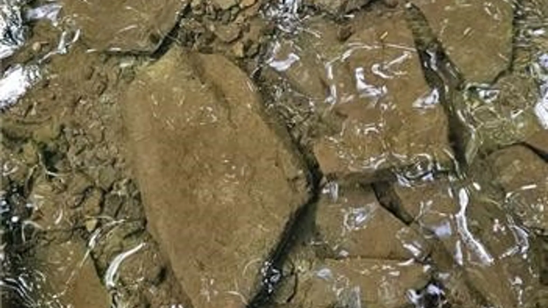 Property at 0 Lafayette Road, Groton, NY 13073 13