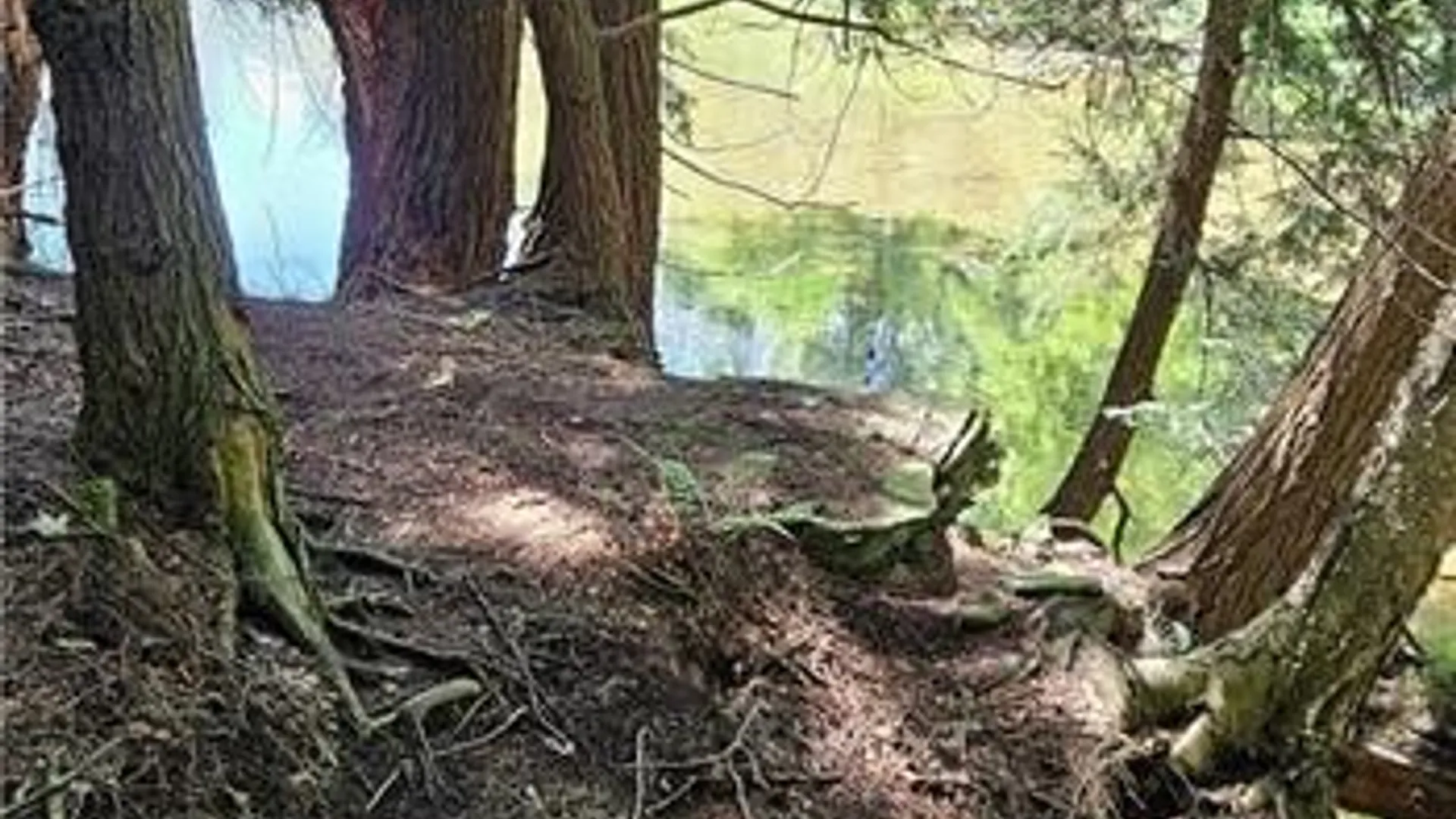 Property at 0 Lafayette Road, Groton, NY 13073 14