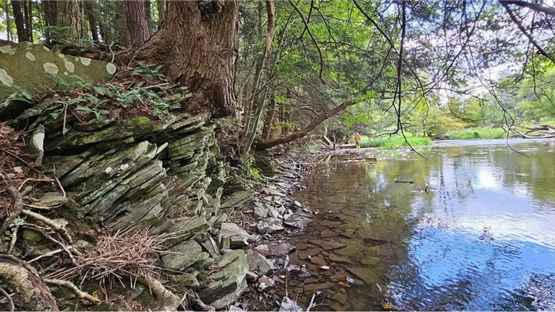 Property at 0 Lafayette Road, Groton, NY 13073 2