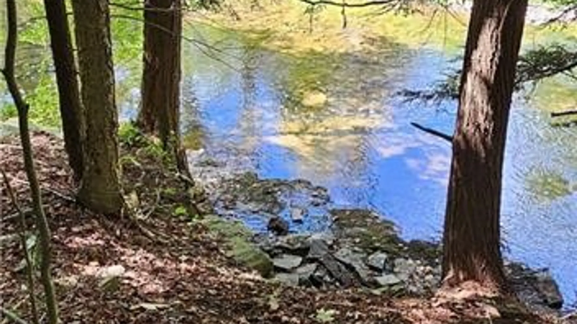 Property at 0 Lafayette Road, Groton, NY 13073 3