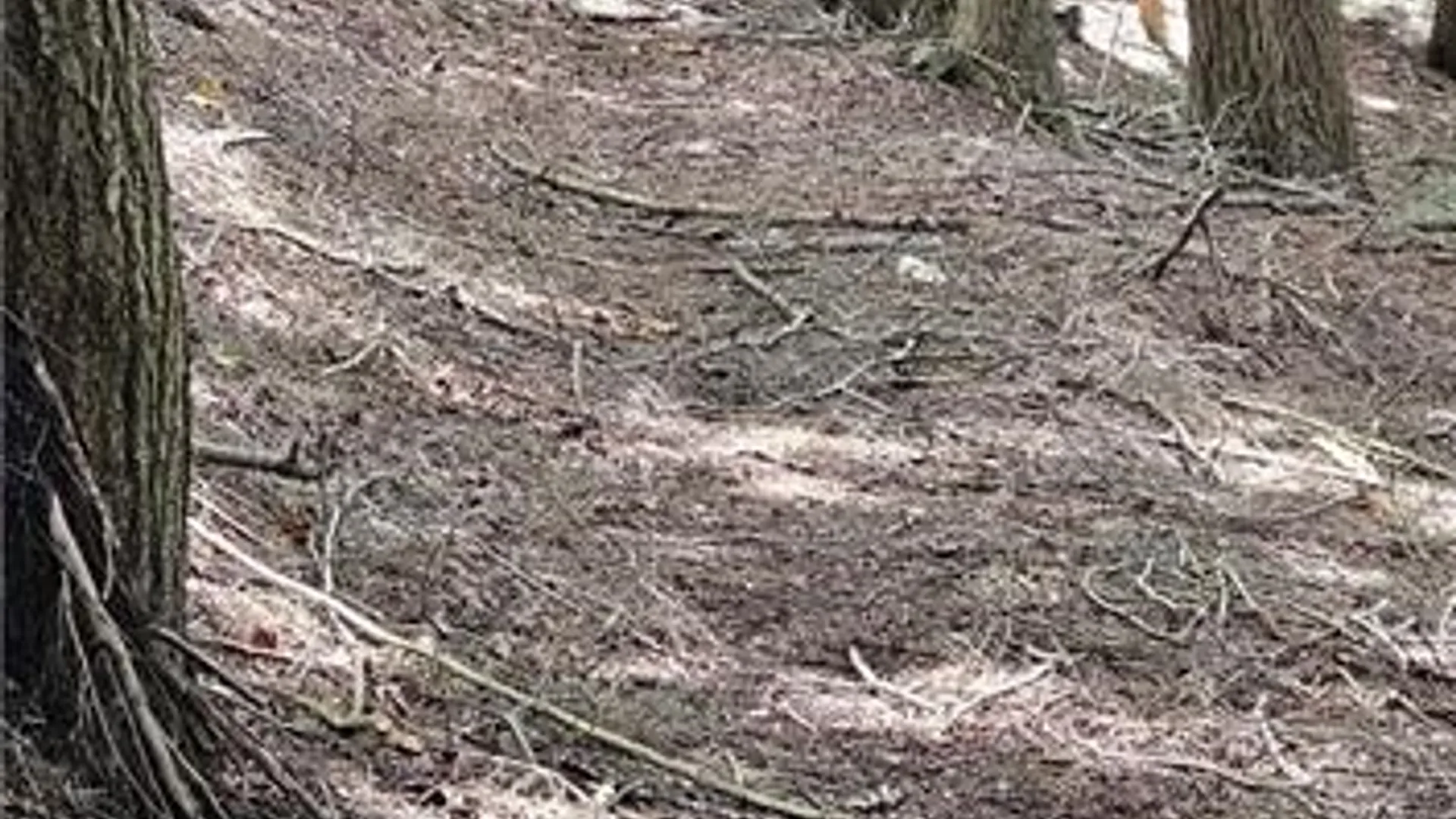 Property at 0 Lafayette Road, Groton, NY 13073 4