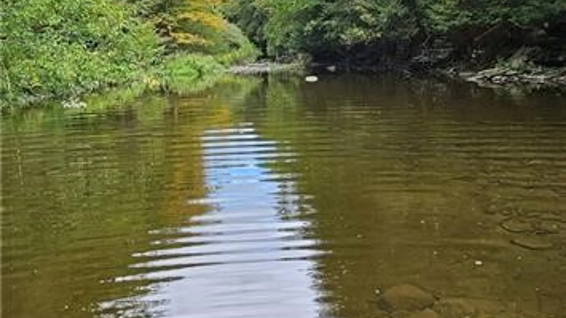 Property at 0 Lafayette Road, Groton, NY 13073 5