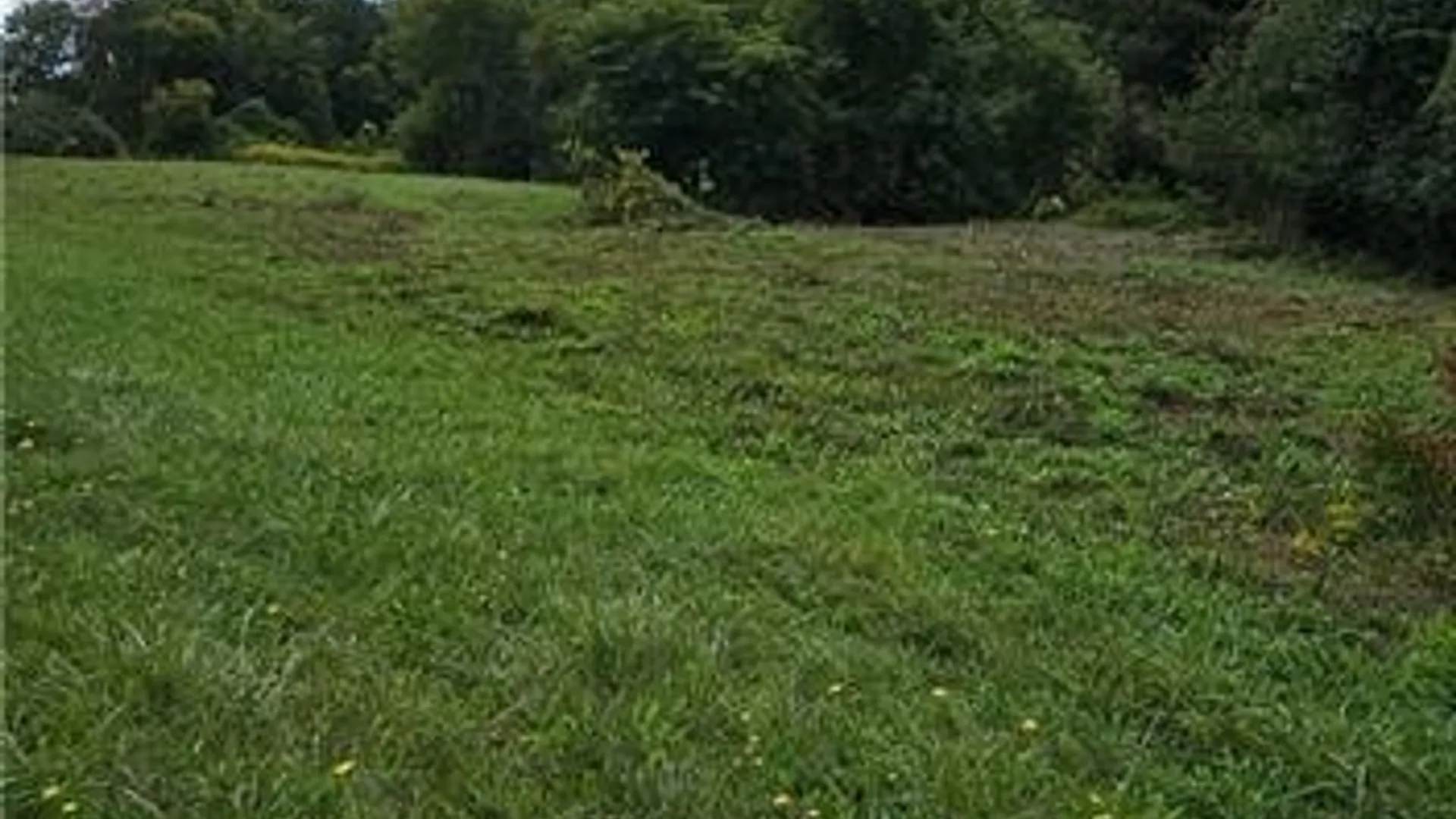 Property at 0 Lafayette Road, Groton, NY 13073 6