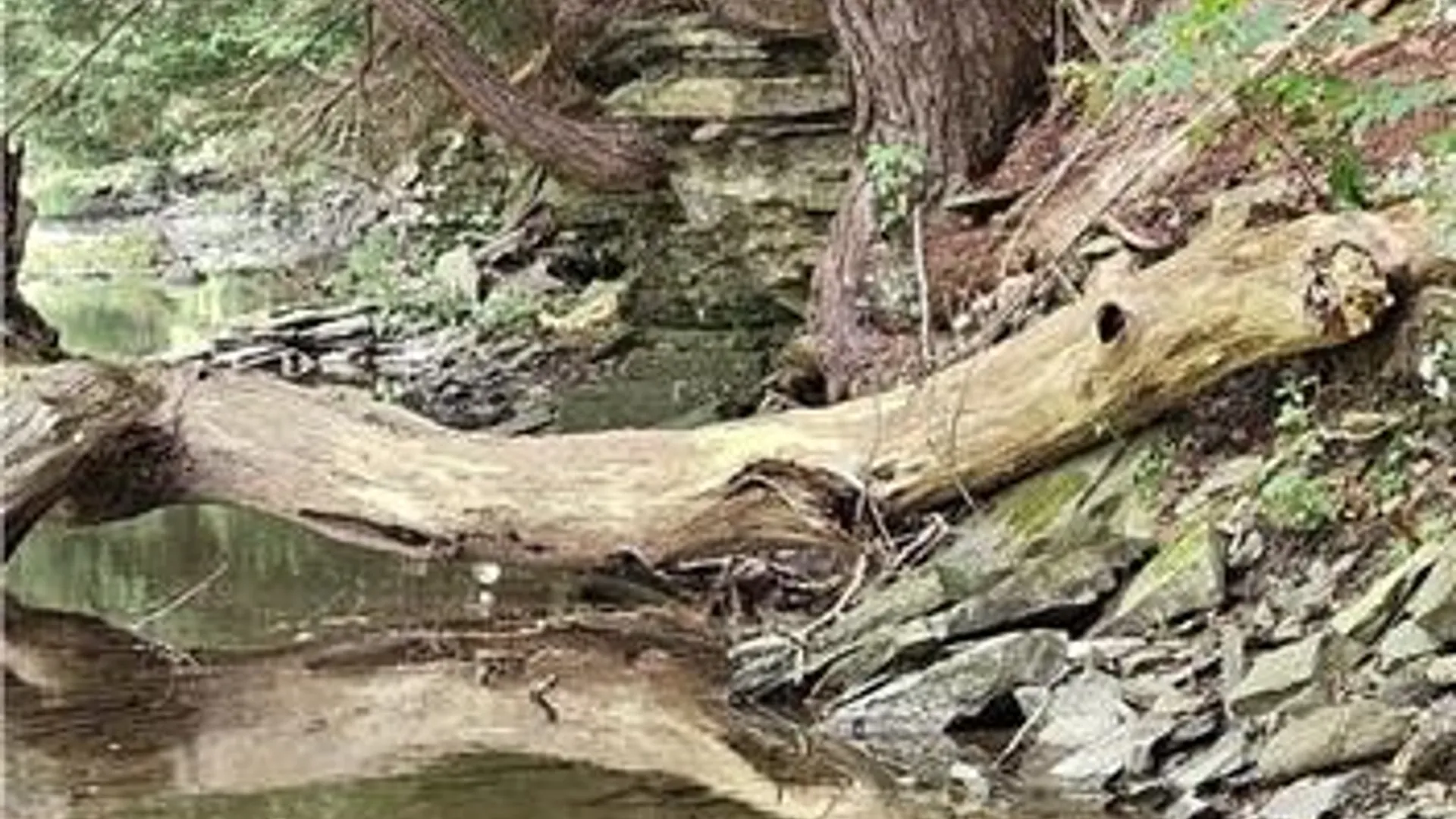 Property at 0 Lafayette Road, Groton, NY 13073 8