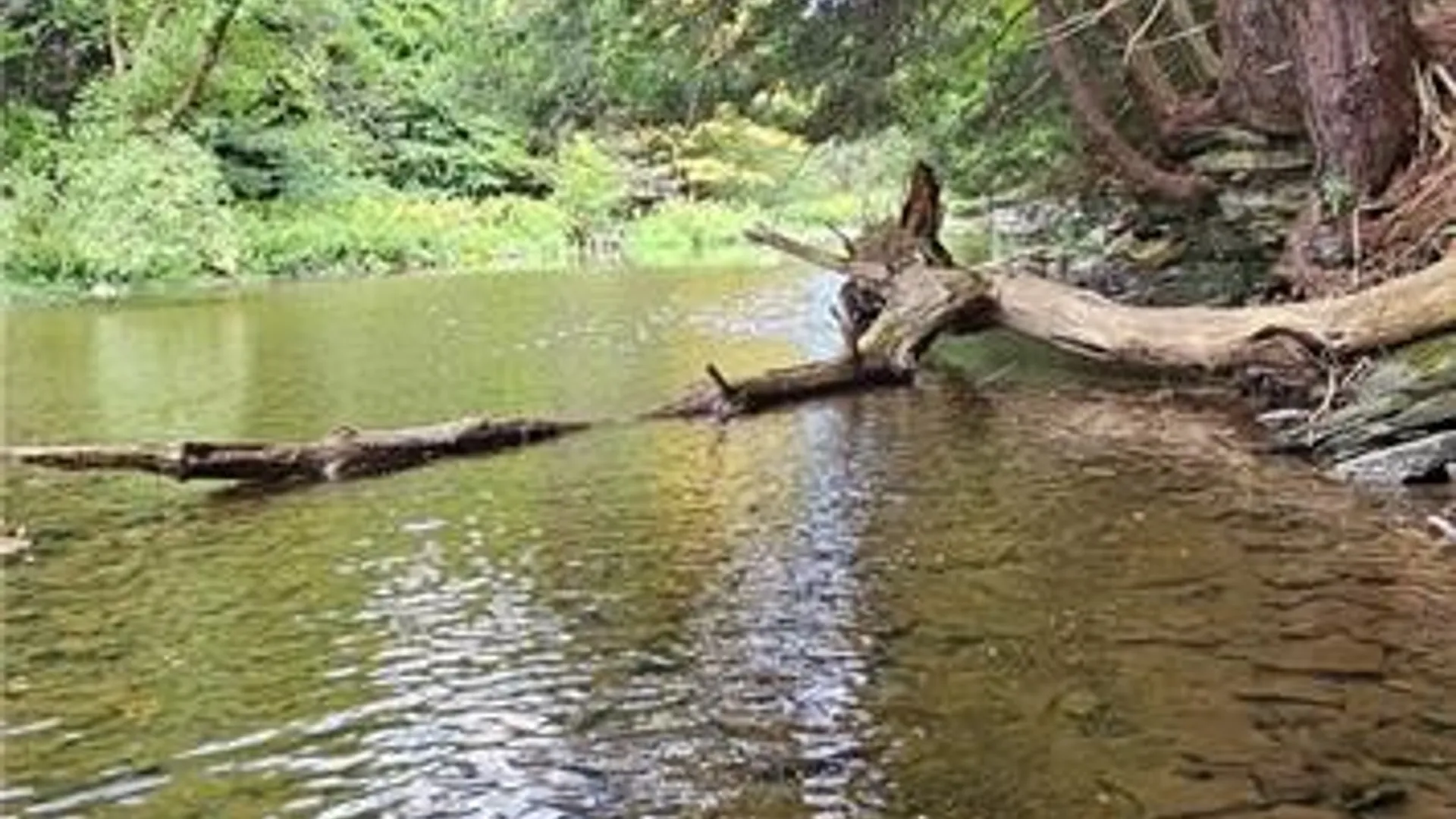 Property at 0 Lafayette Road, Groton, NY 13073 9