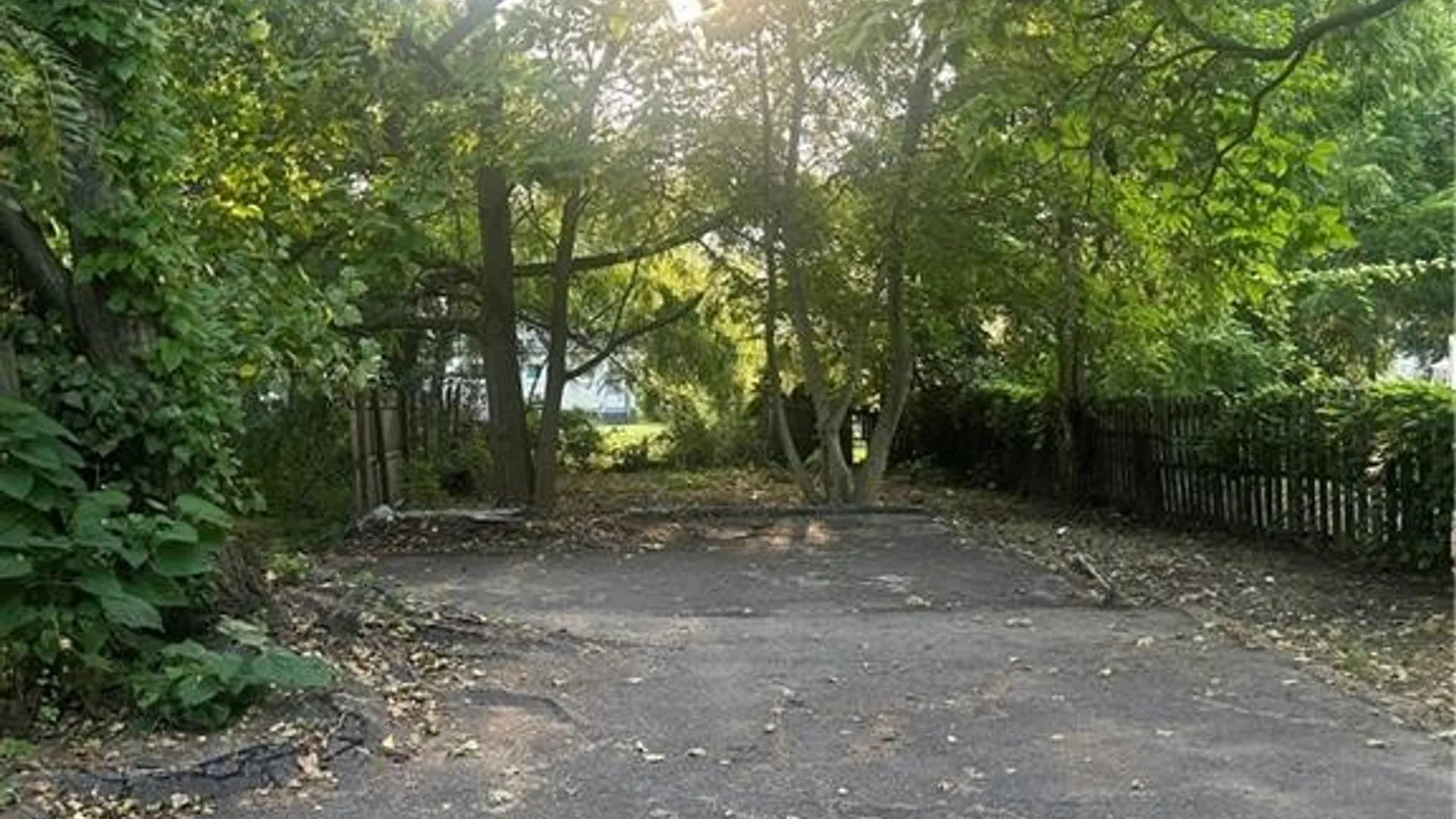 Property at 49 Santee Street, Rochester, NY 14606 24