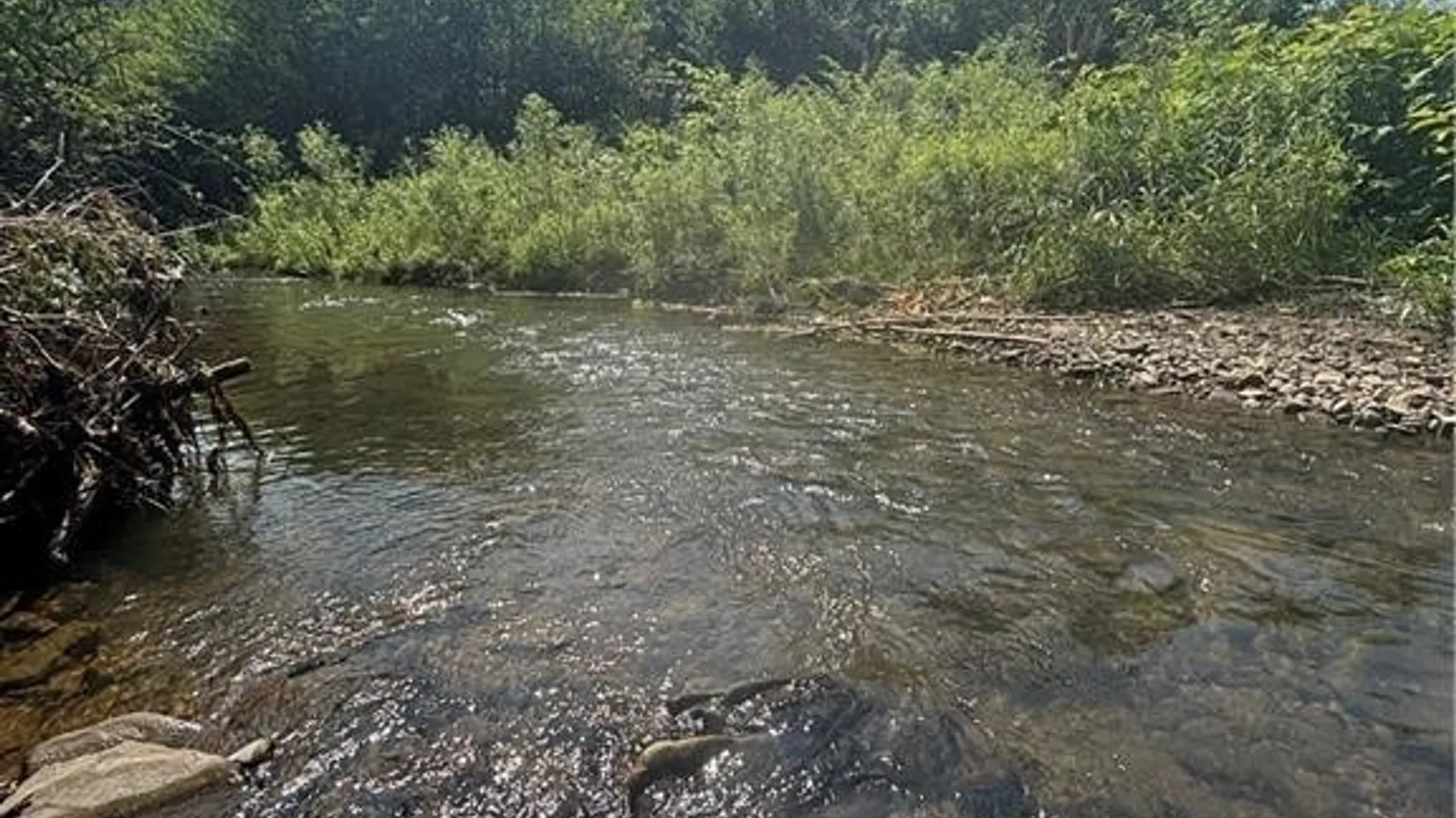 Property at 2710 County Road 9, Scio, NY 14880 10