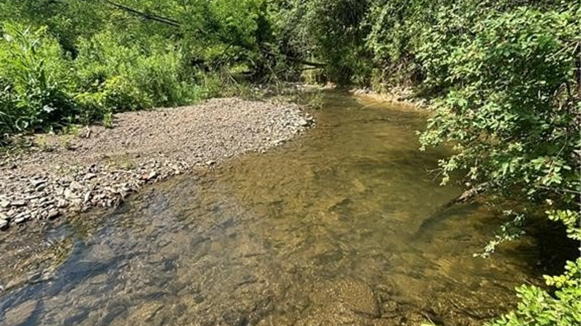 Property at 2710 County Road 9, Scio, NY 14880 11