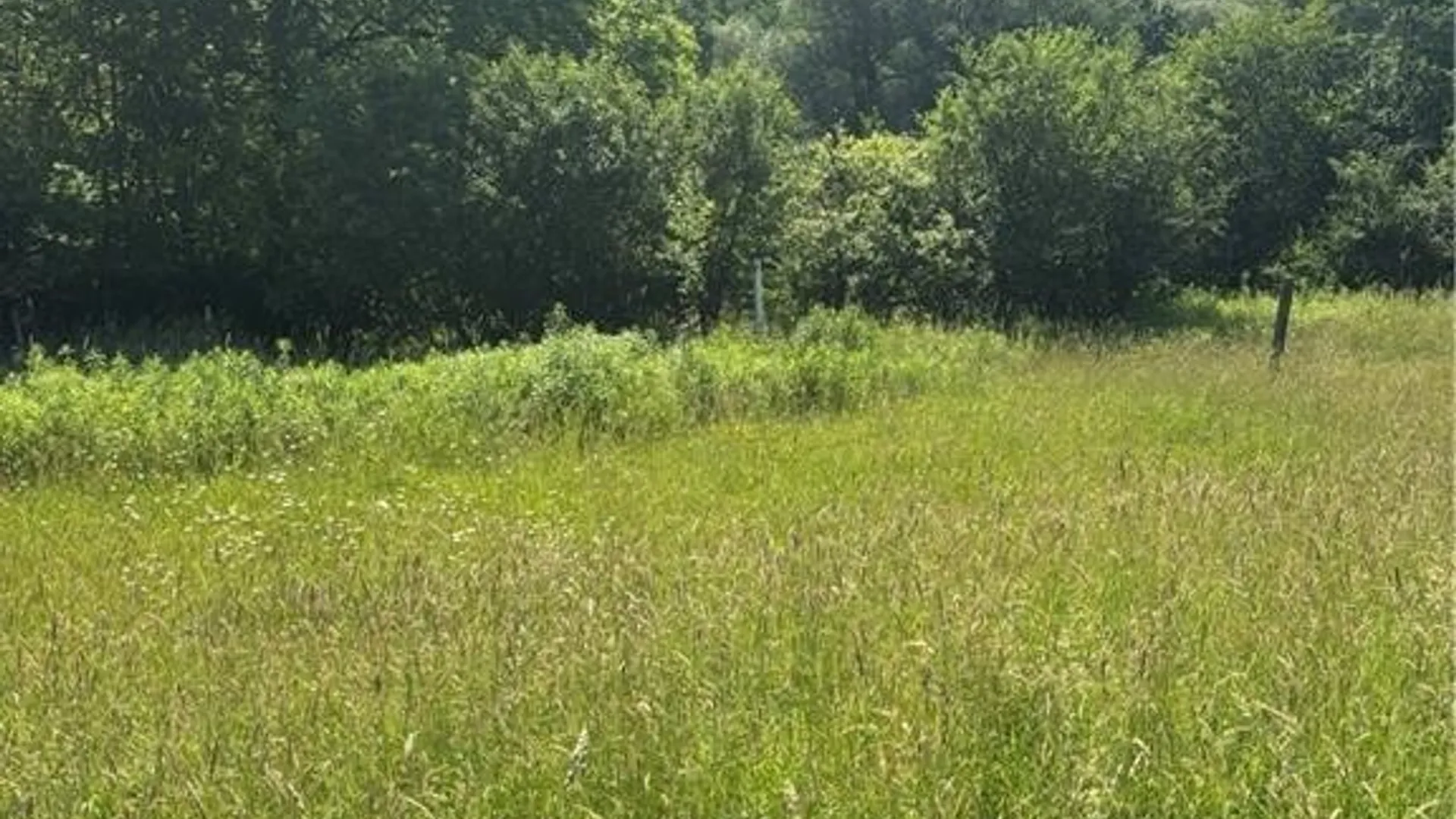 Property at 2710 County Road 9, Scio, NY 14880 12